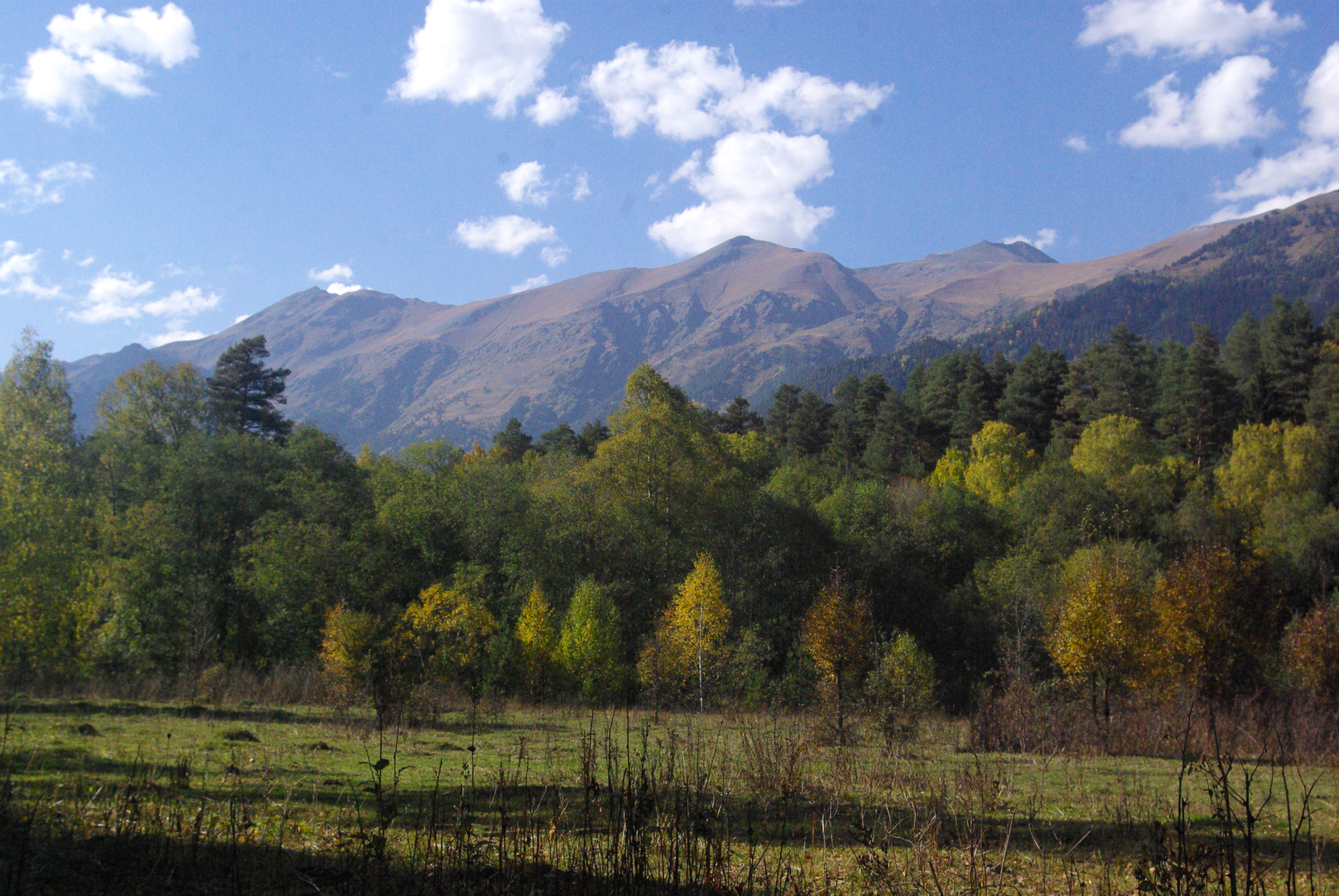 архыз, Андрей Любимов
