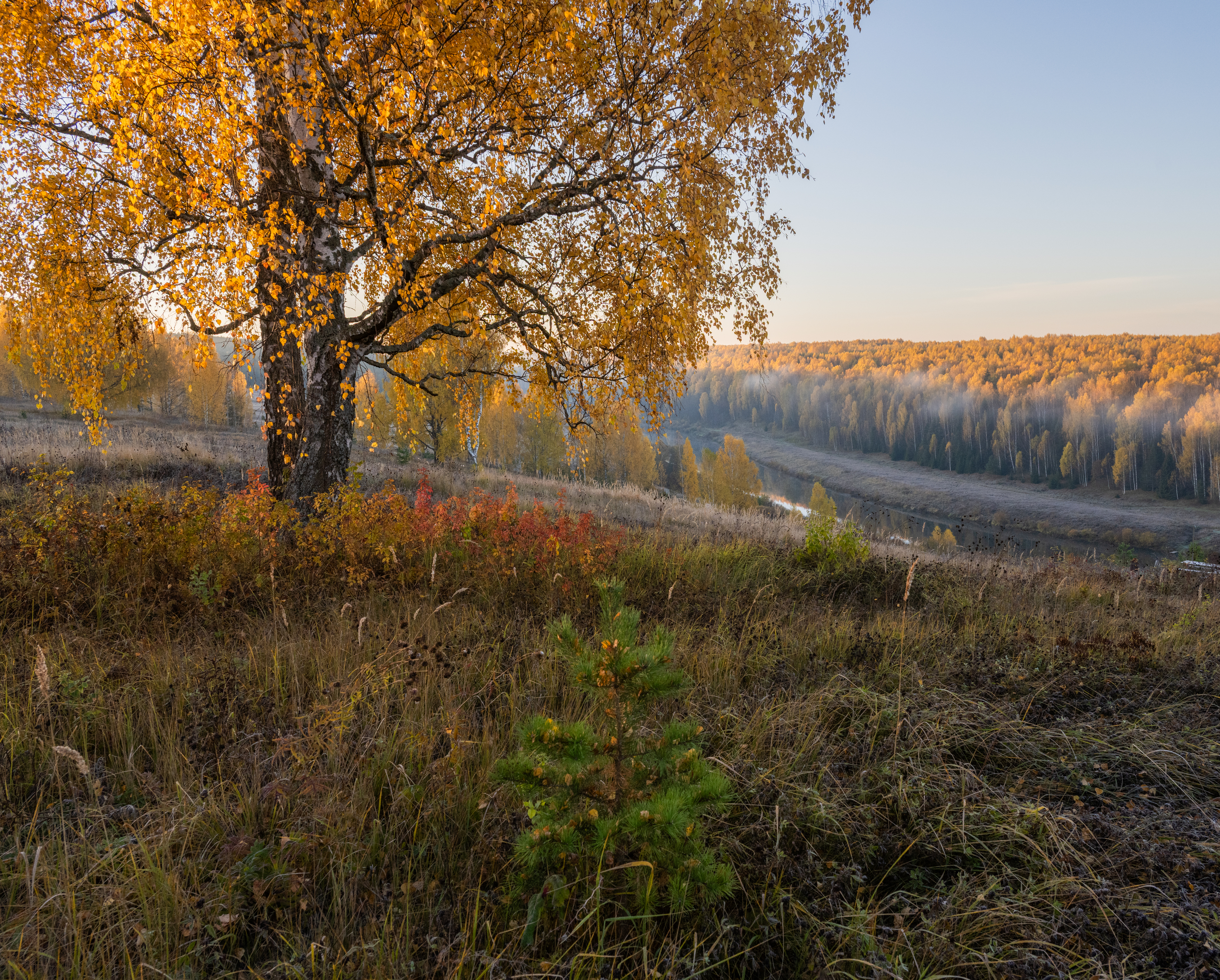 , Карепанов Евгений