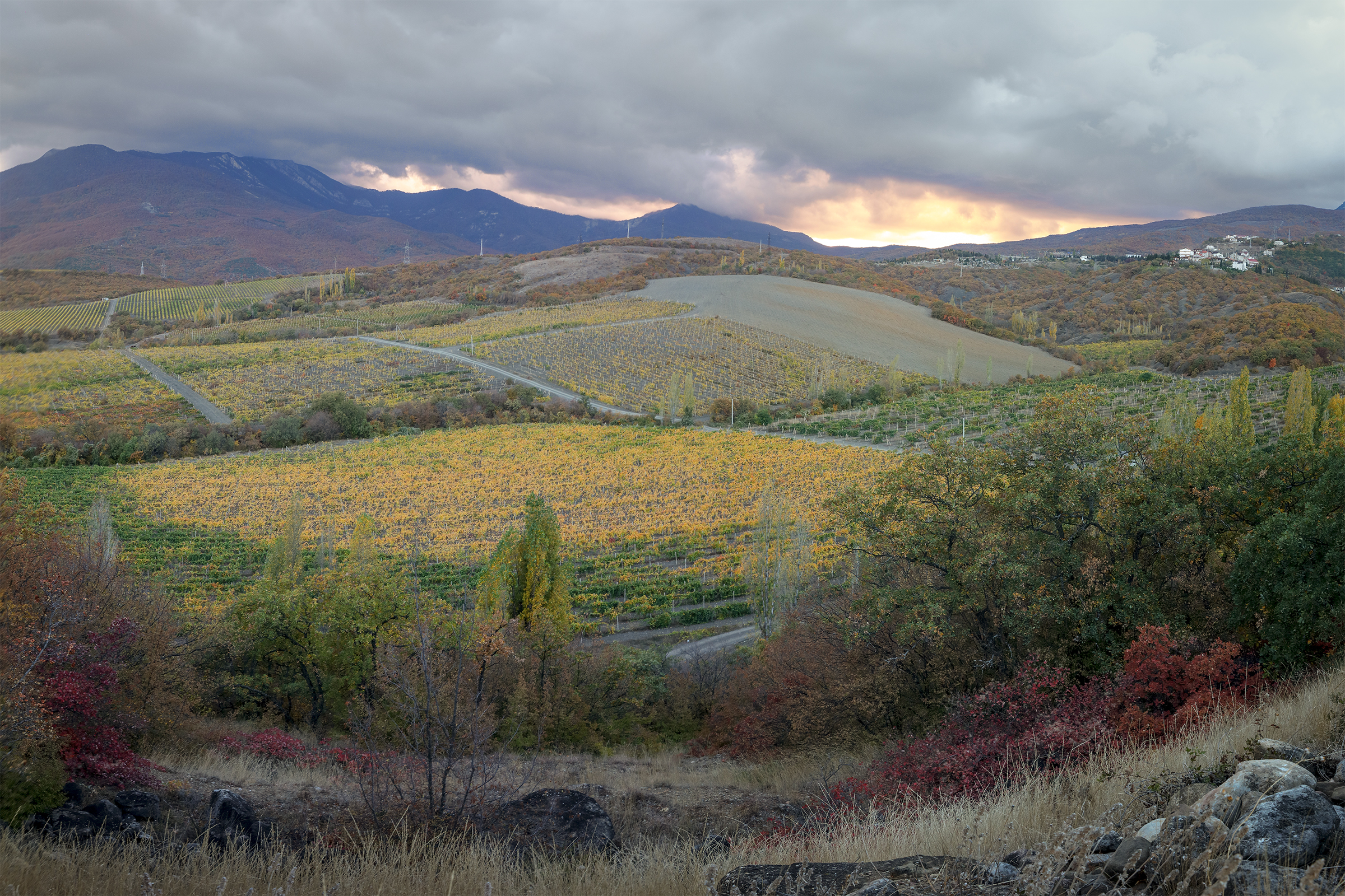 крым, осень, горы, пейзаж, виноградники,, Сергей Шульга