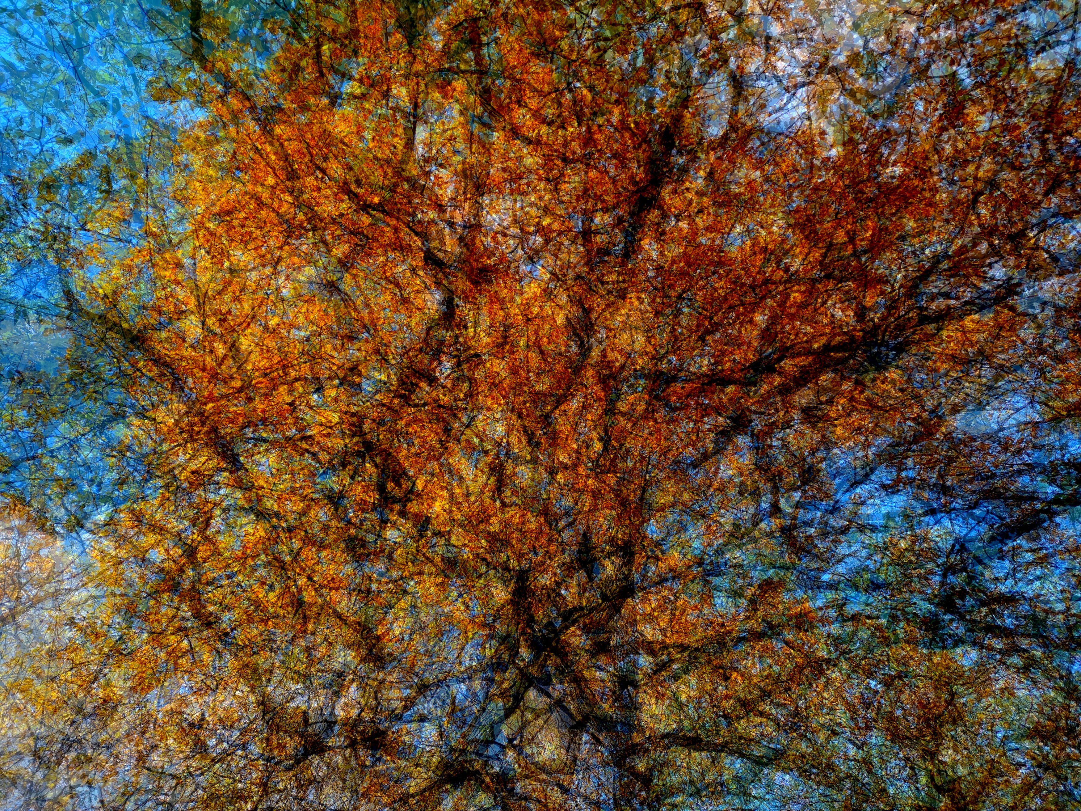 , Антон Лаба