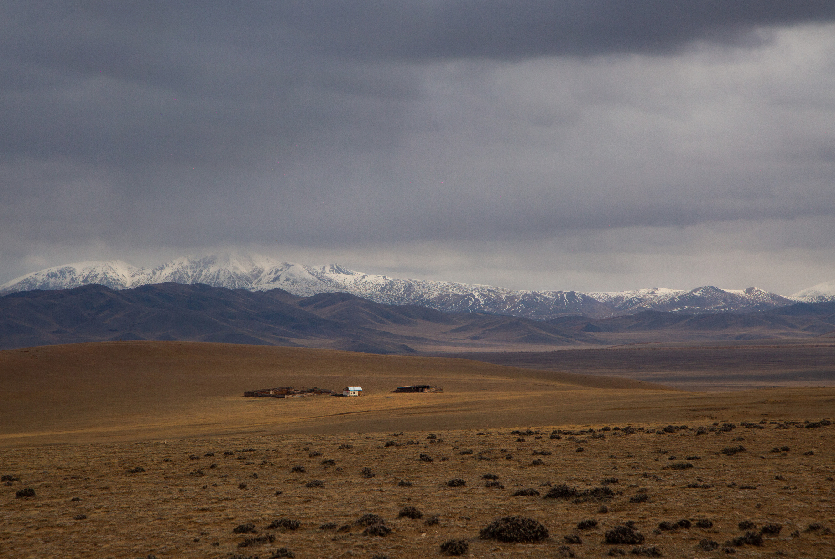 , Евгений Зинов