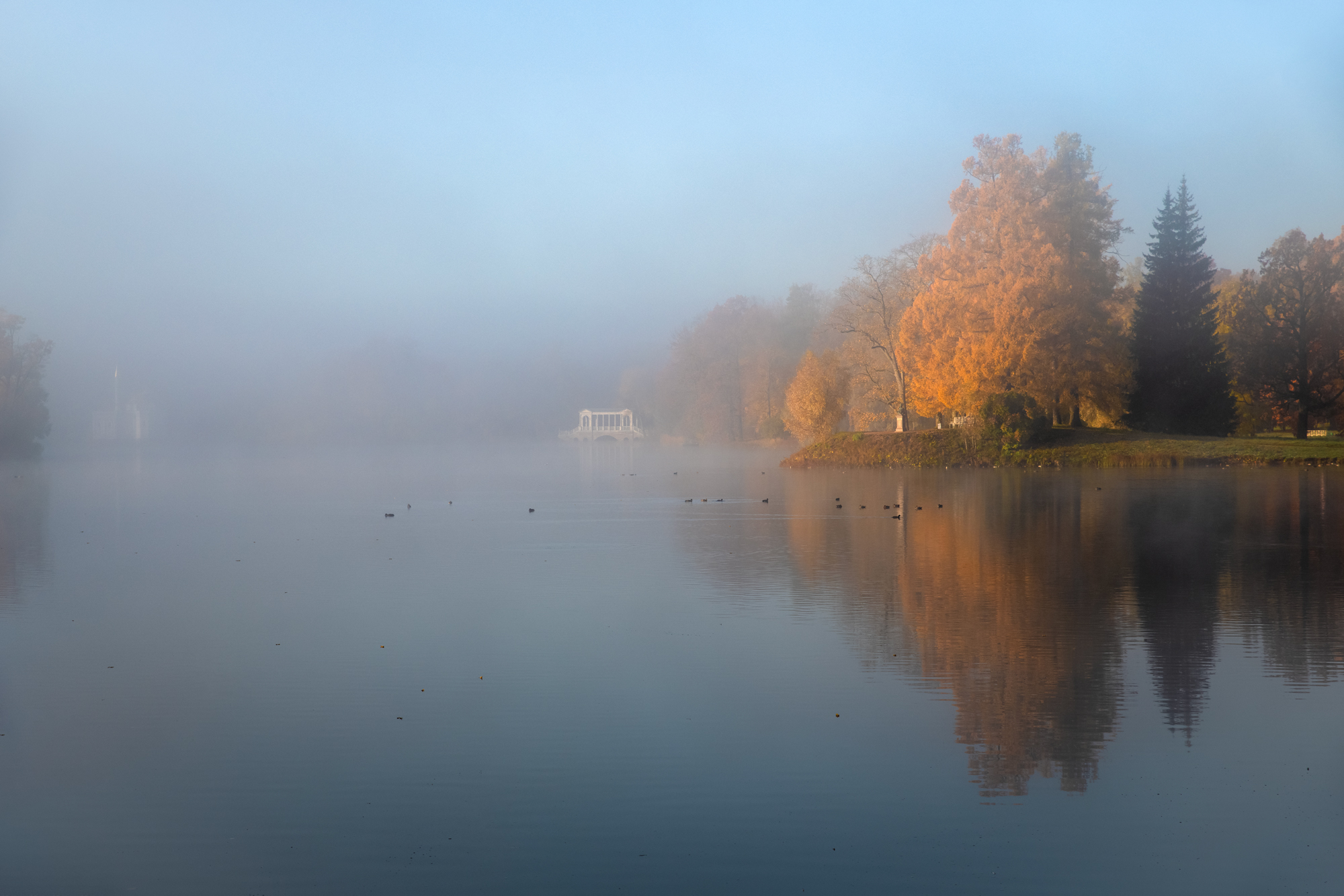 , Гордеев Эдуард