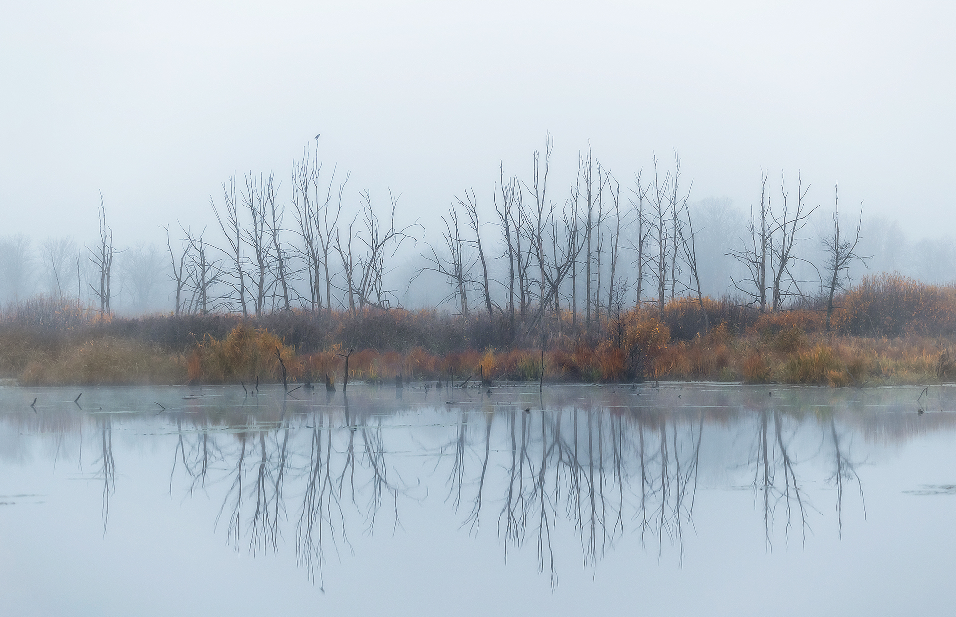 , Lozhkin Vyacheslav
