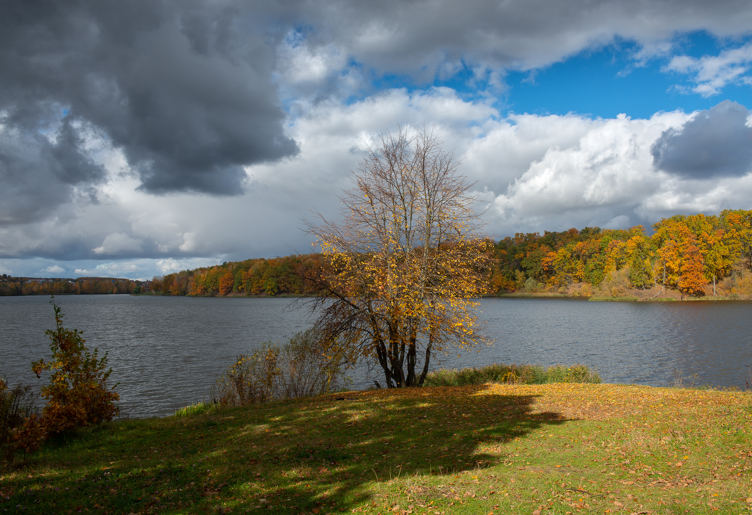 , Роман Игнатьев
