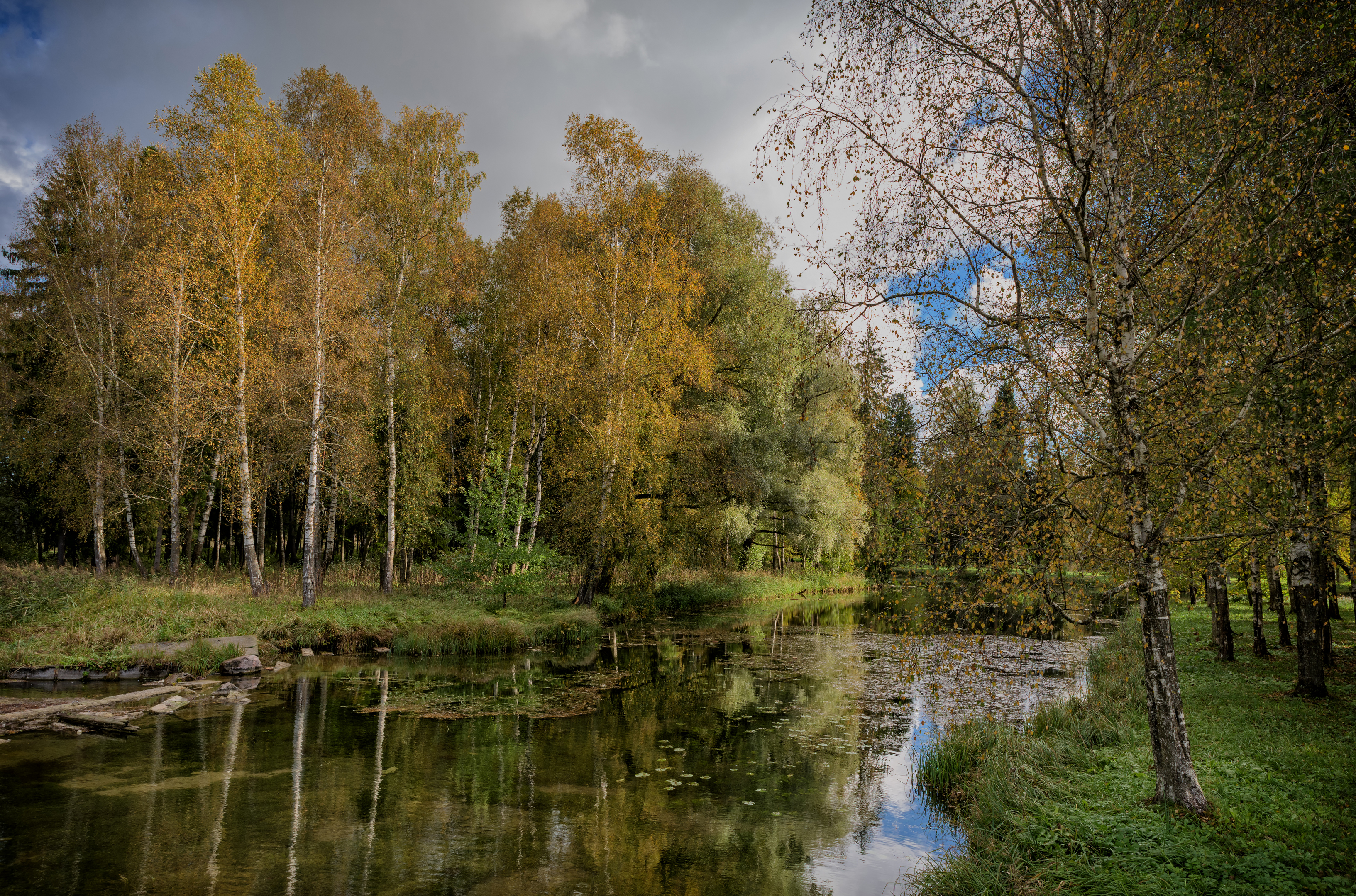 , Тихонов Дмитрий