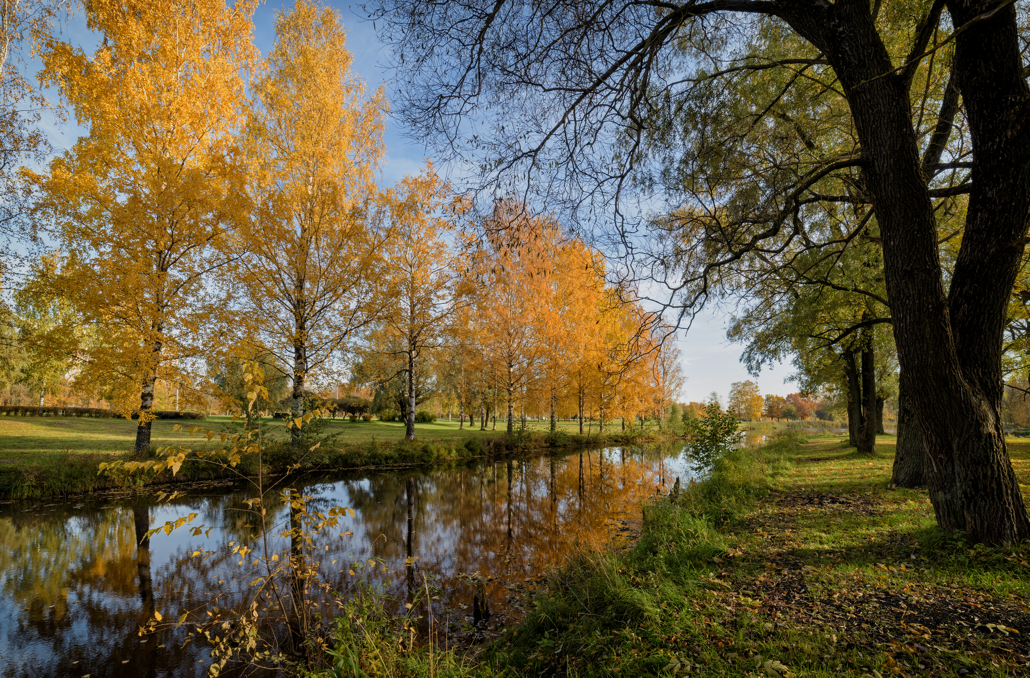 , Тихонов Дмитрий