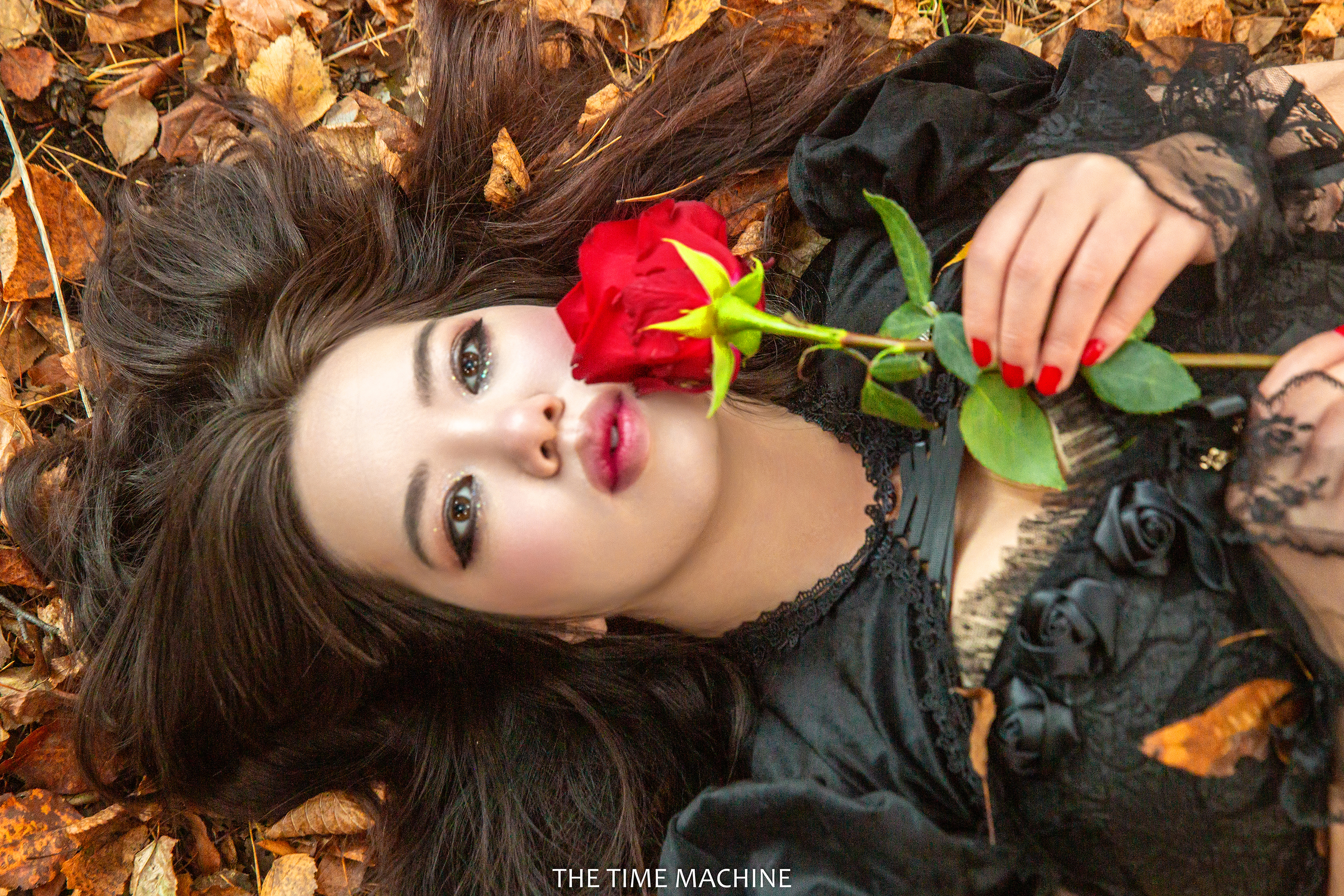 , Михаил Бове