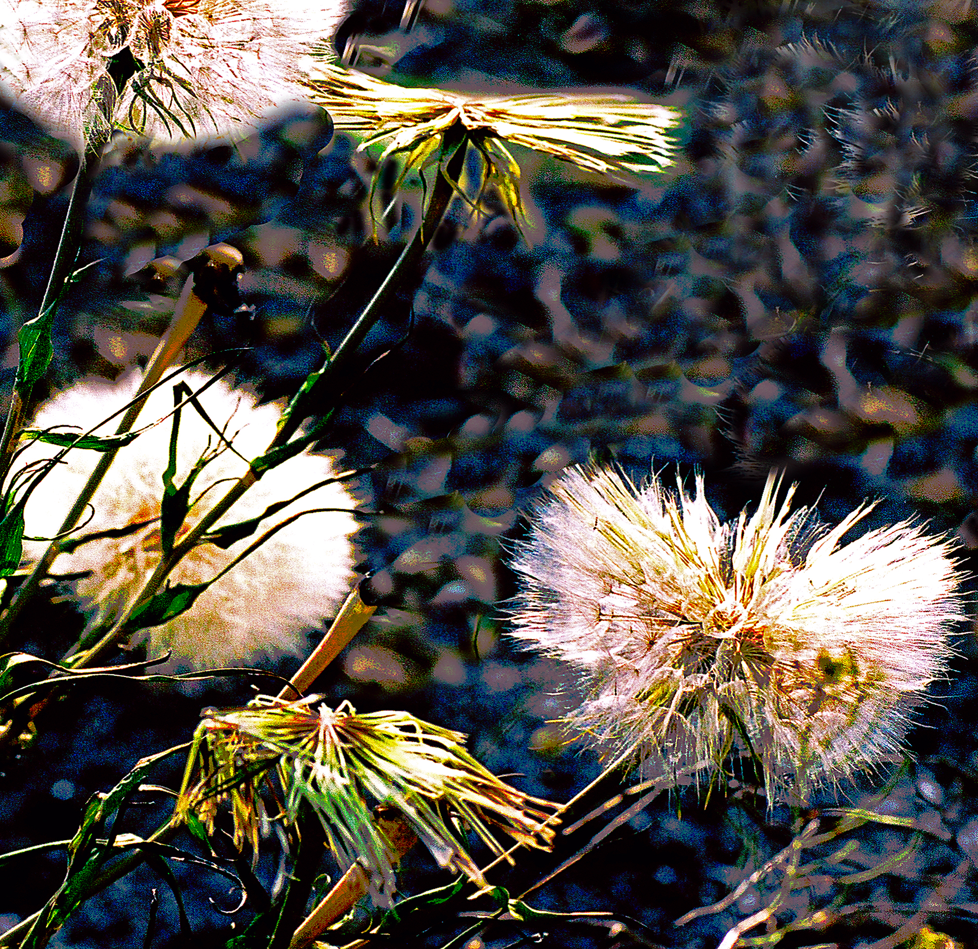 , Андрей Петросян