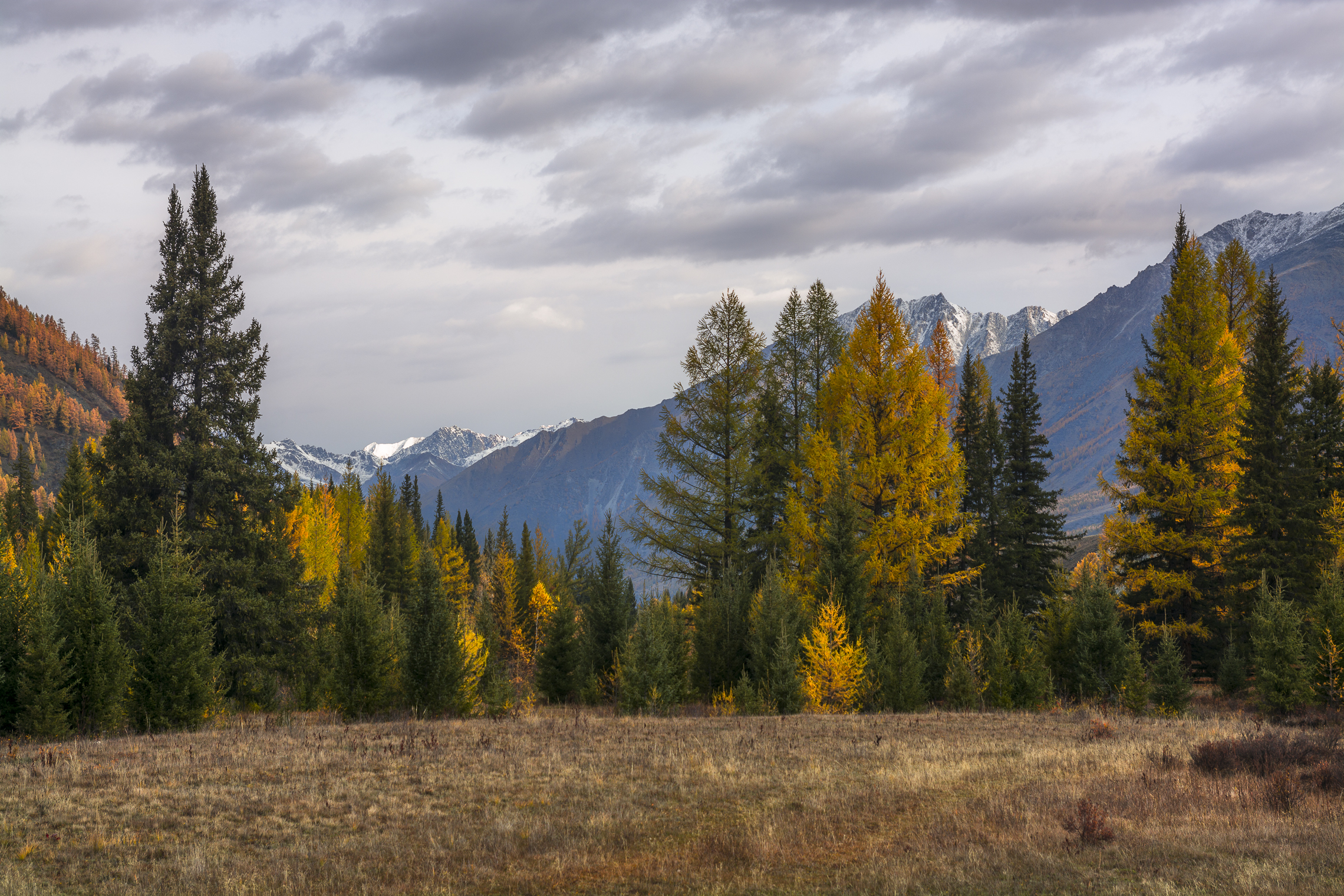 россия, горный алтай, осень, утро, Андрей Поляков