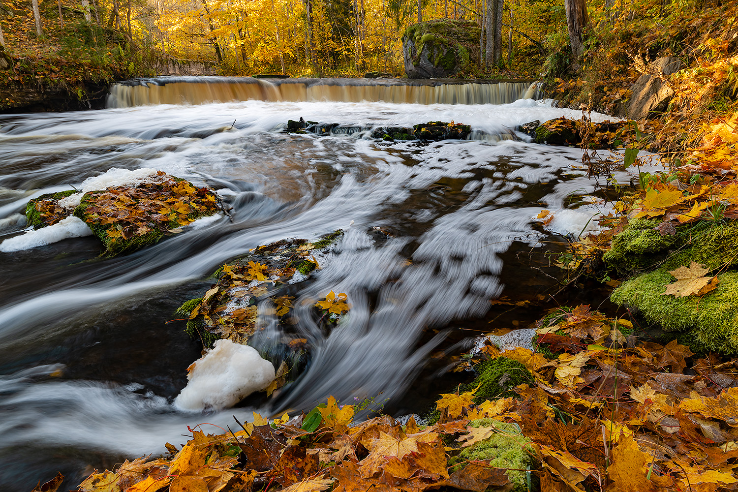 , Абросимов Александр