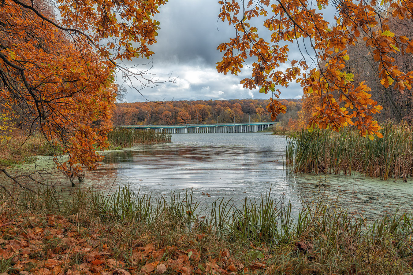 , Анатолий Зверев