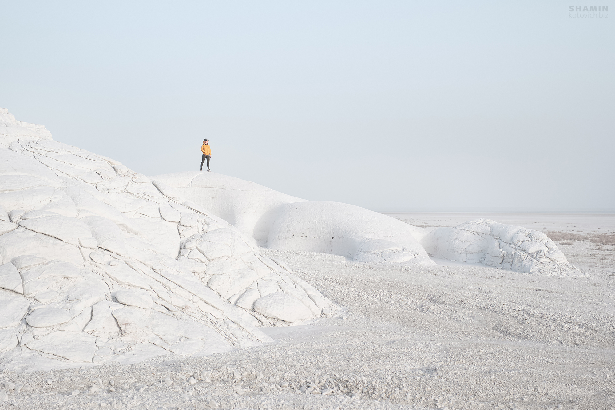 , Константин Шамин