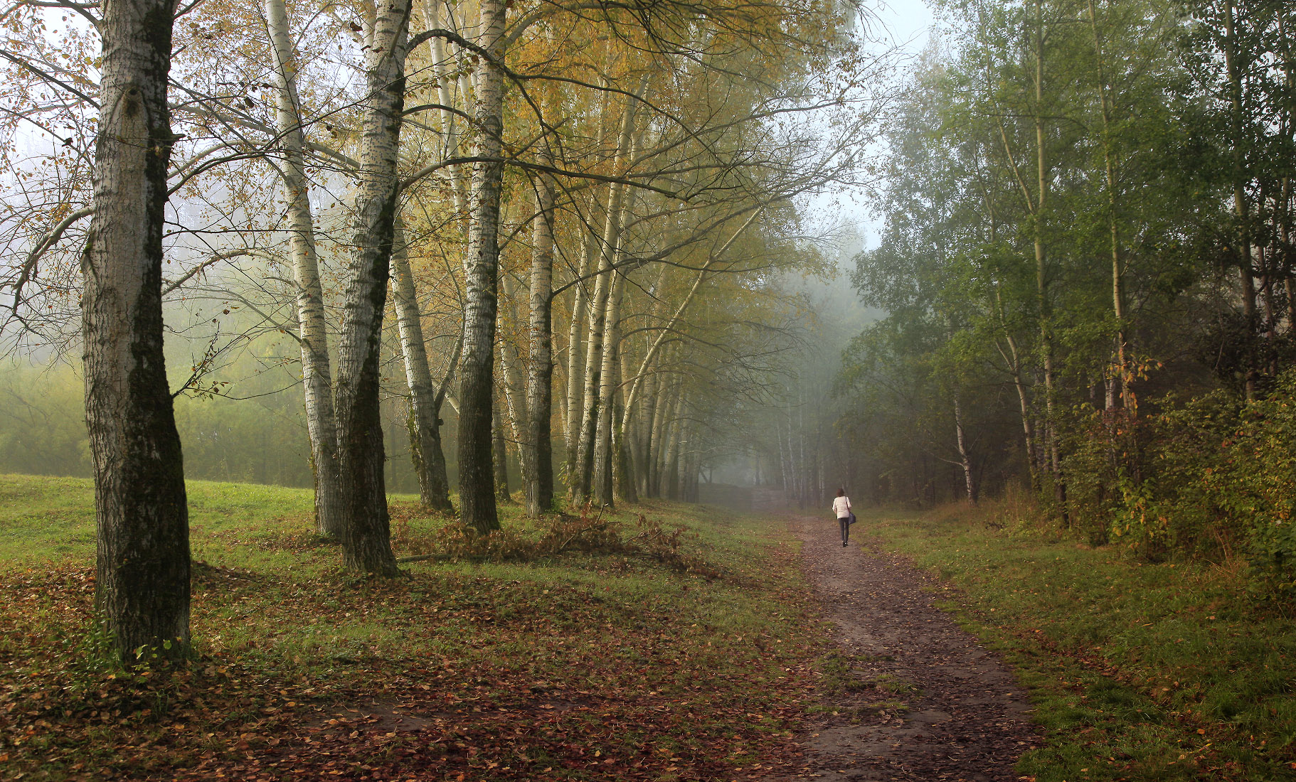 томск ботанический сад, Алексей Хахлов
