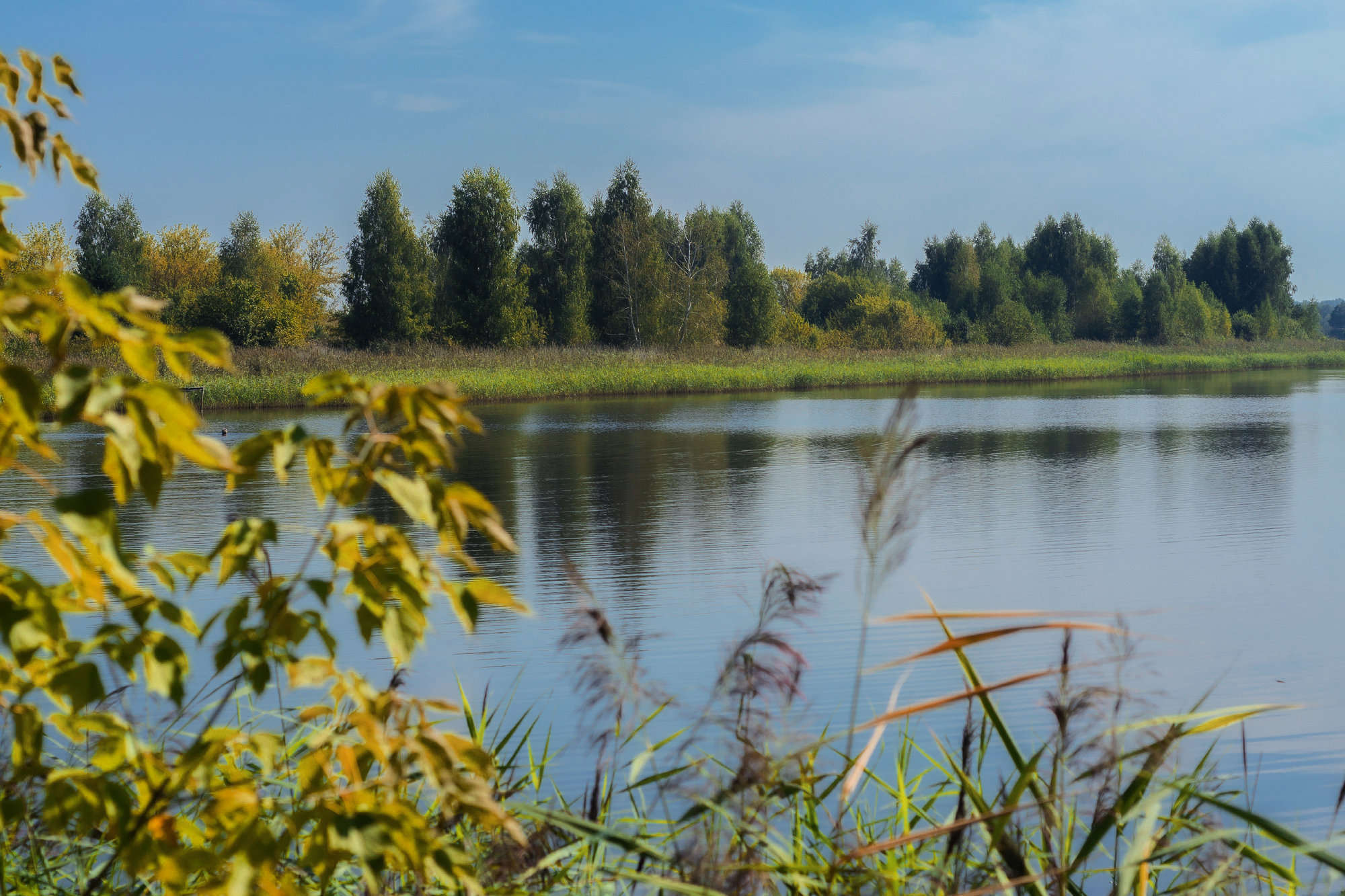 , Лысенко Сергей