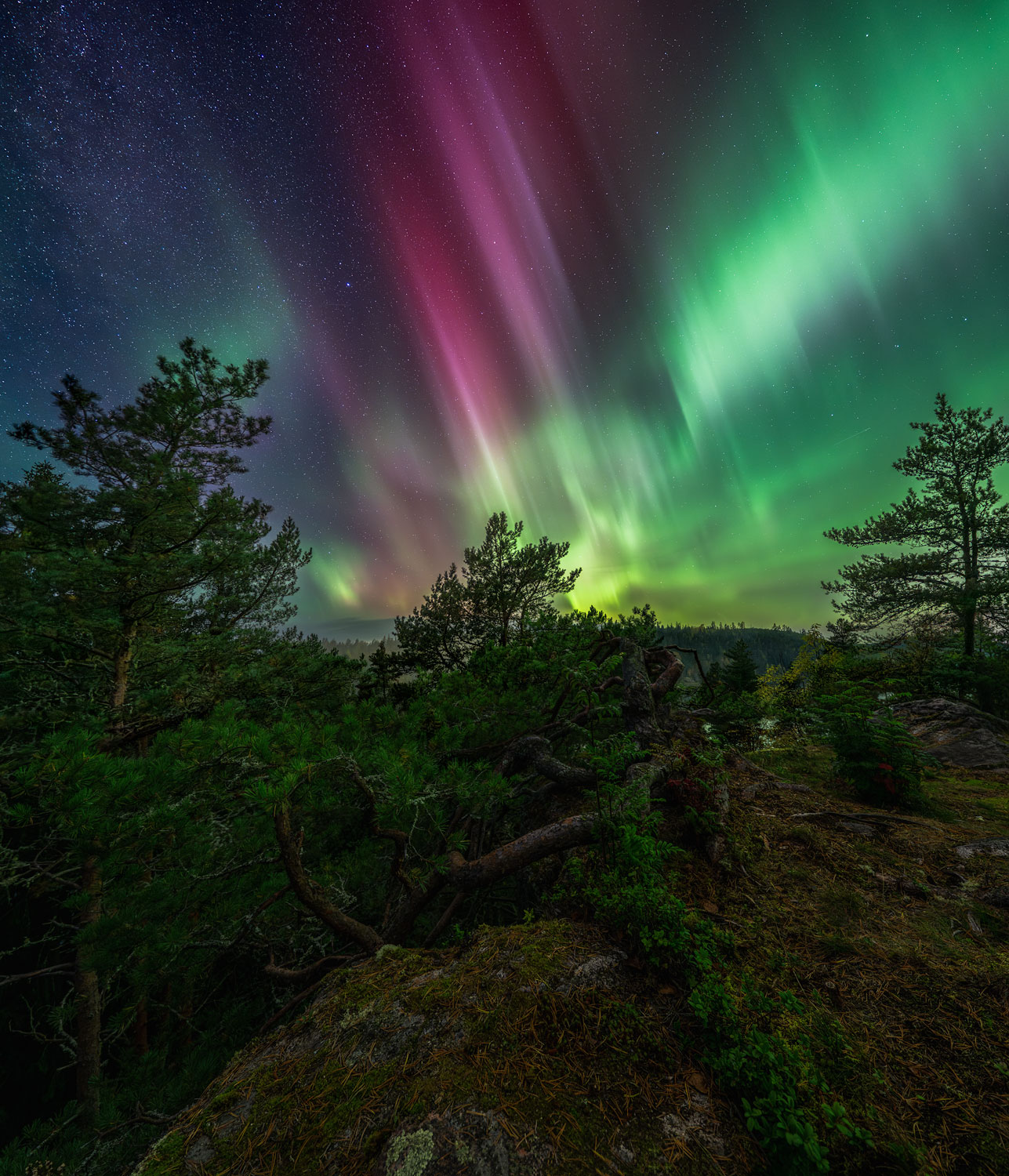 , Бушков Евгений