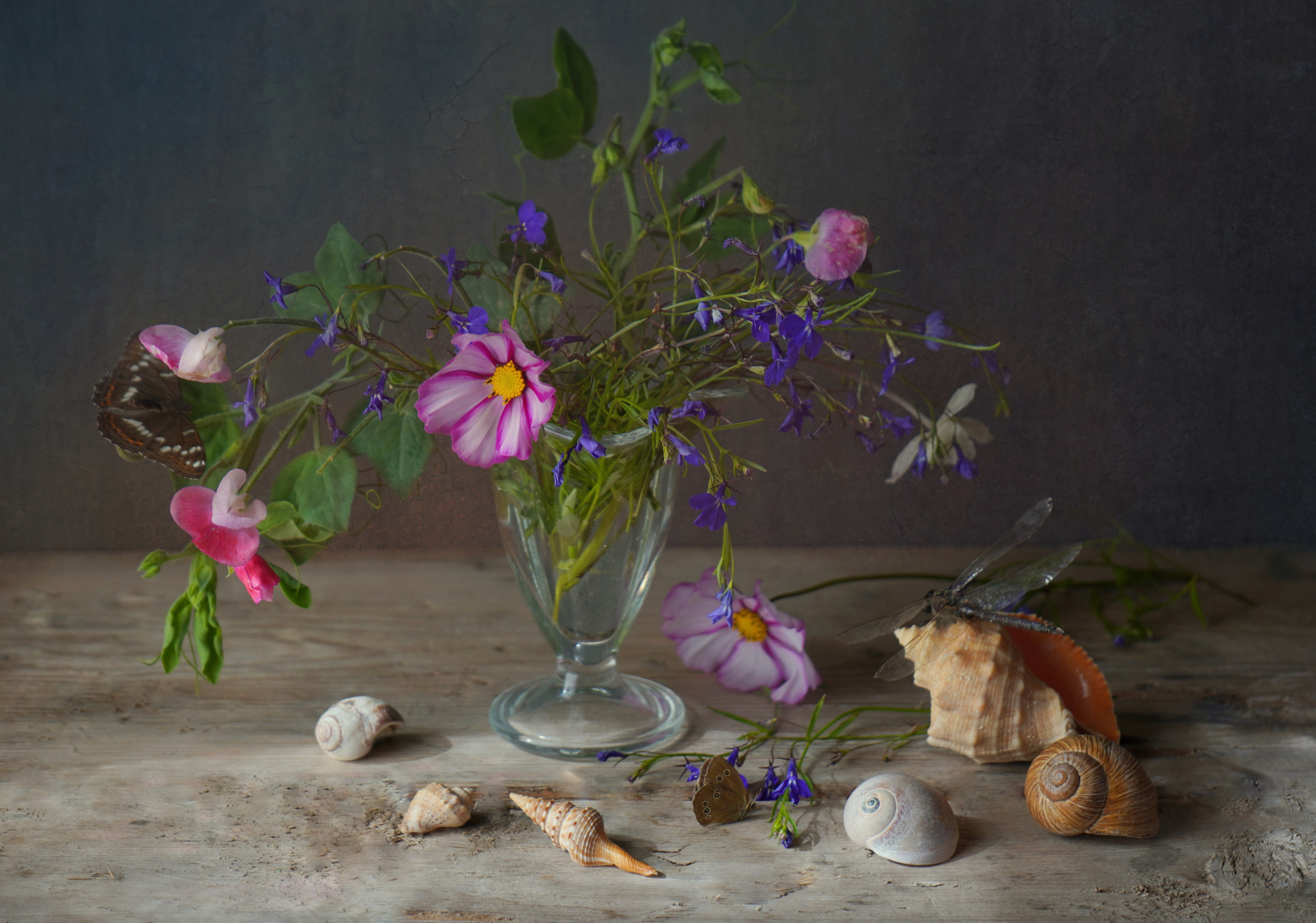 , Хохлова (Ермохина) Наталья