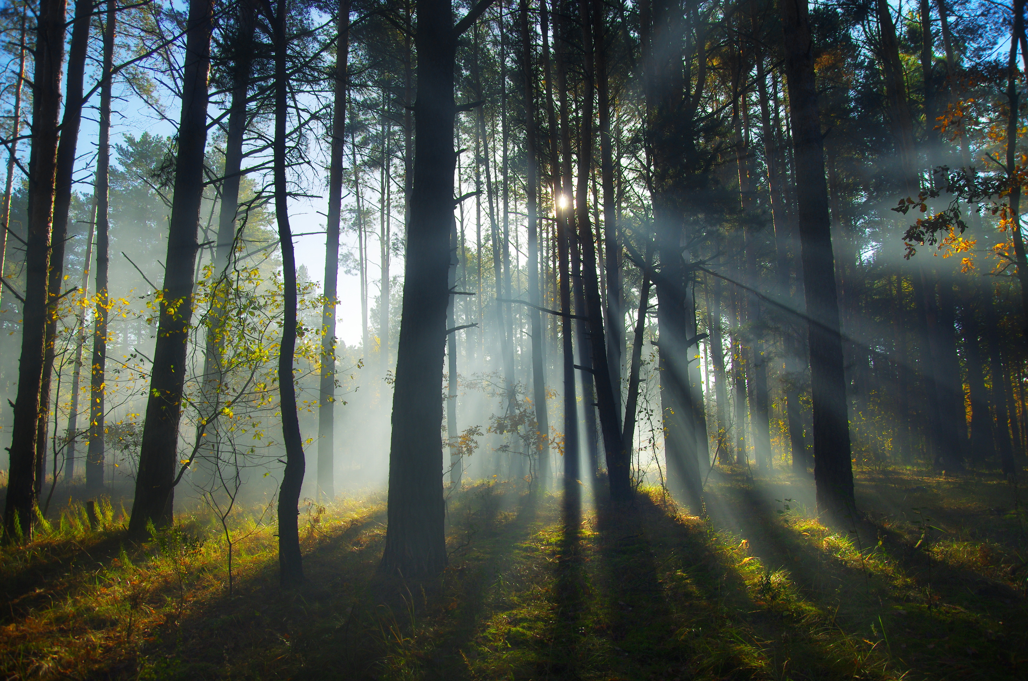 , Шляга Сергей