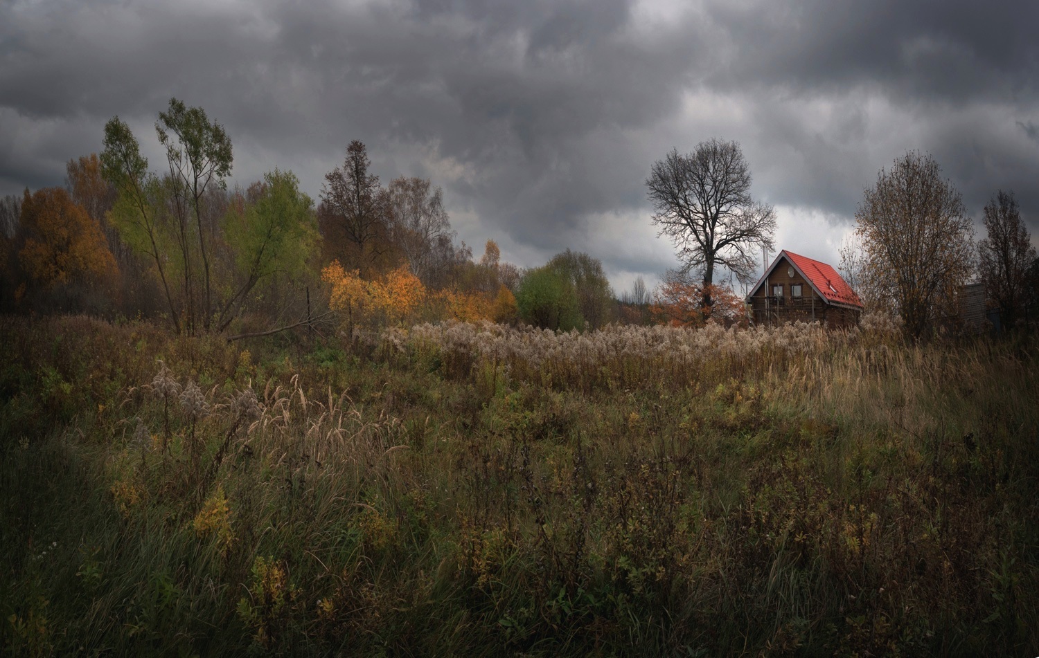 сенево, осень, природа, тульская обл., Баранов Олег
