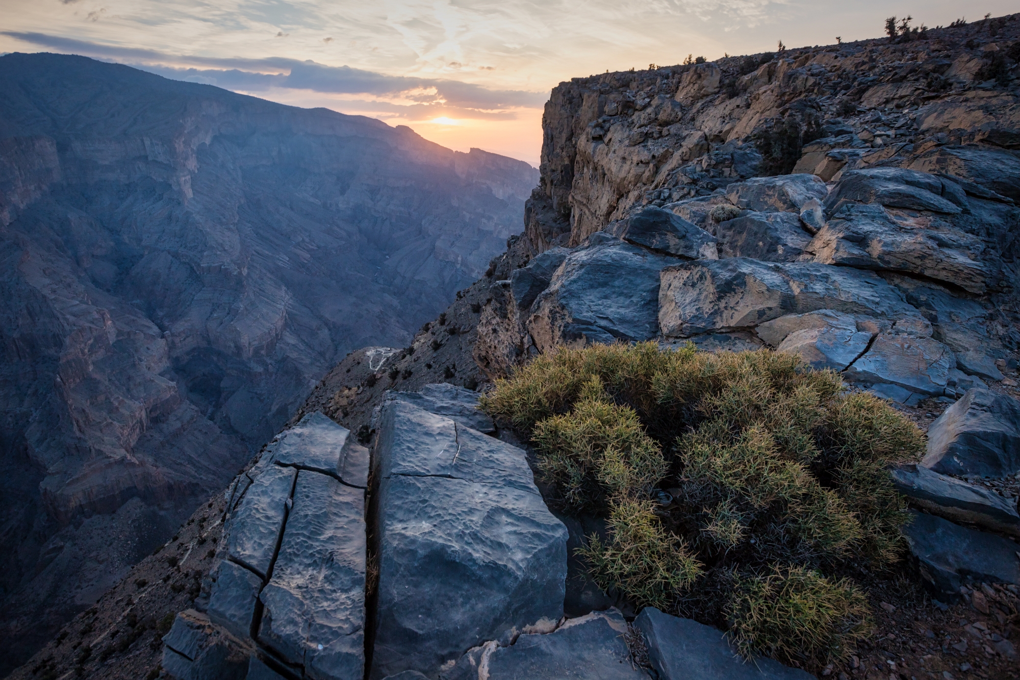 Оман, Алексей Мараховец