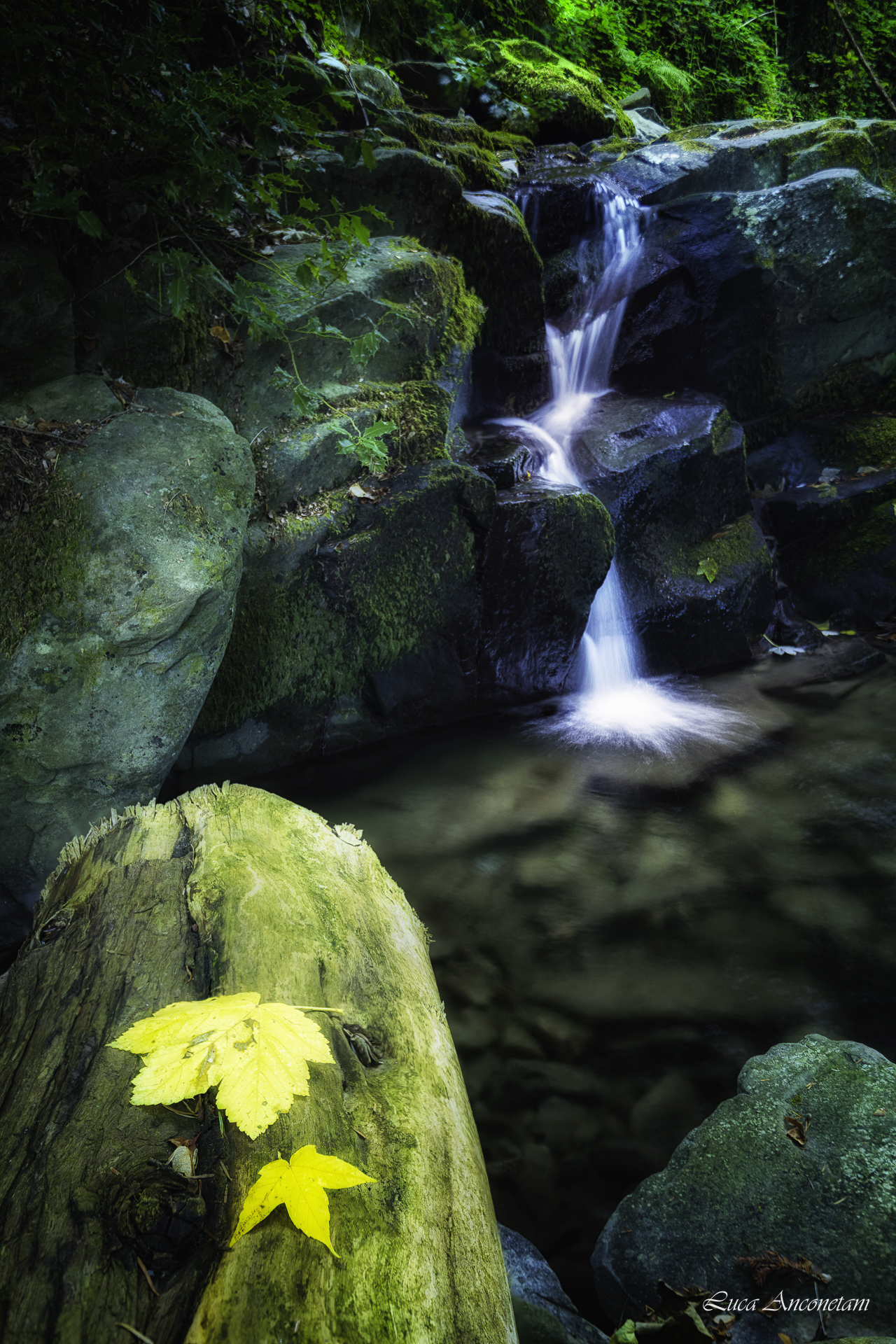 nature rocks water autumn stream outdoor, Anconetani Luca