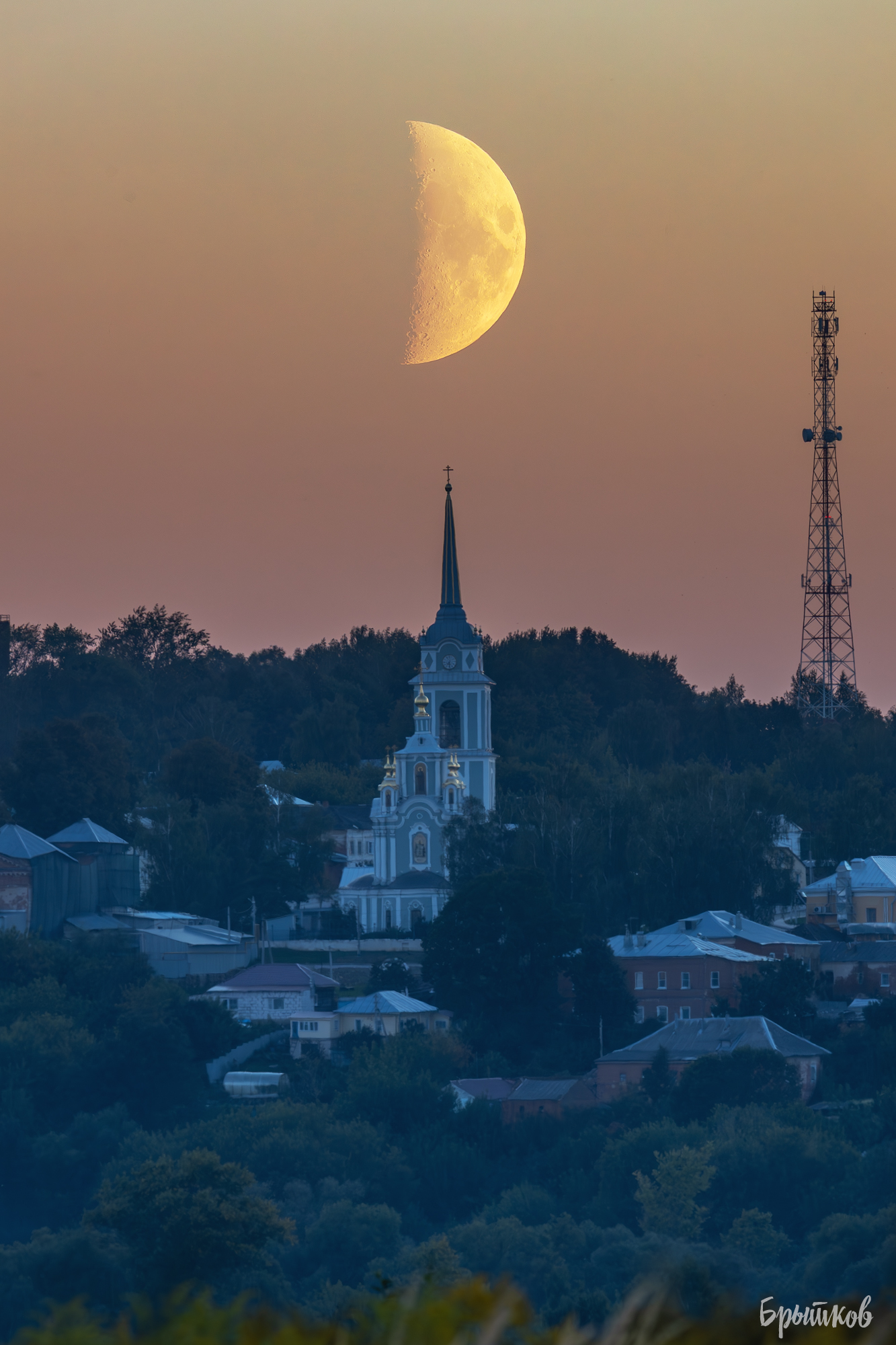 , Николай Брытков