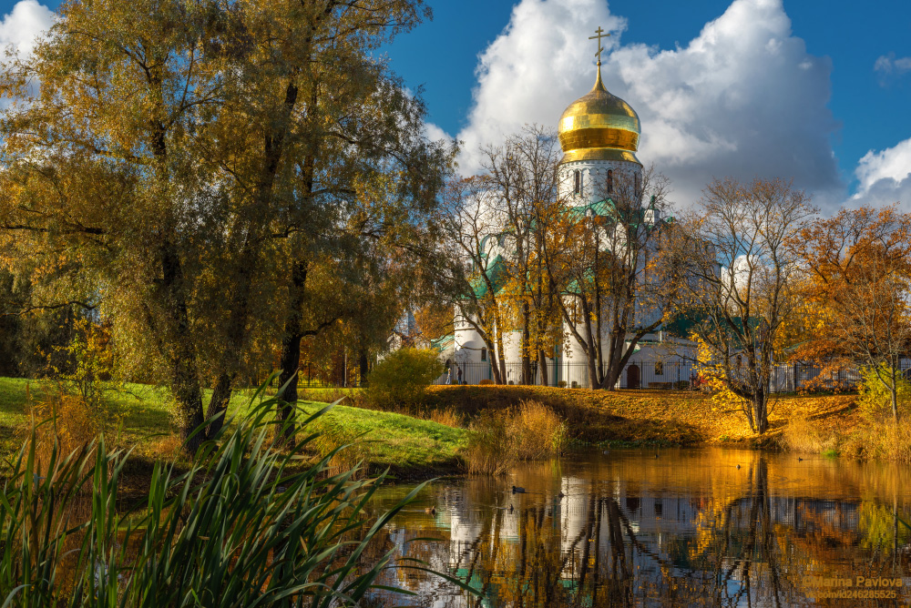 ород, архитектура, город пушкин, городской пейзаж, осенний пейзаж, природа, царское село, фермский парк, собор  феодоровской иконы божией матери, храм, золотая осень, пригороды петербурга, Павлова Марина