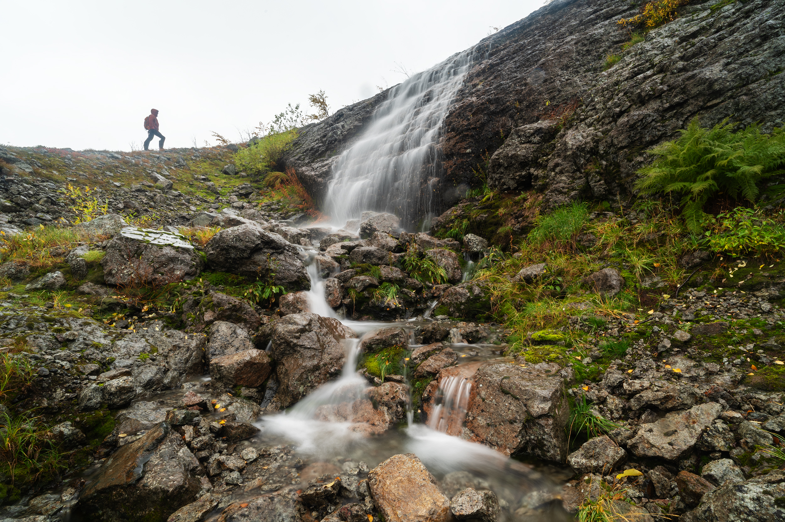 , Ян Сурогин
