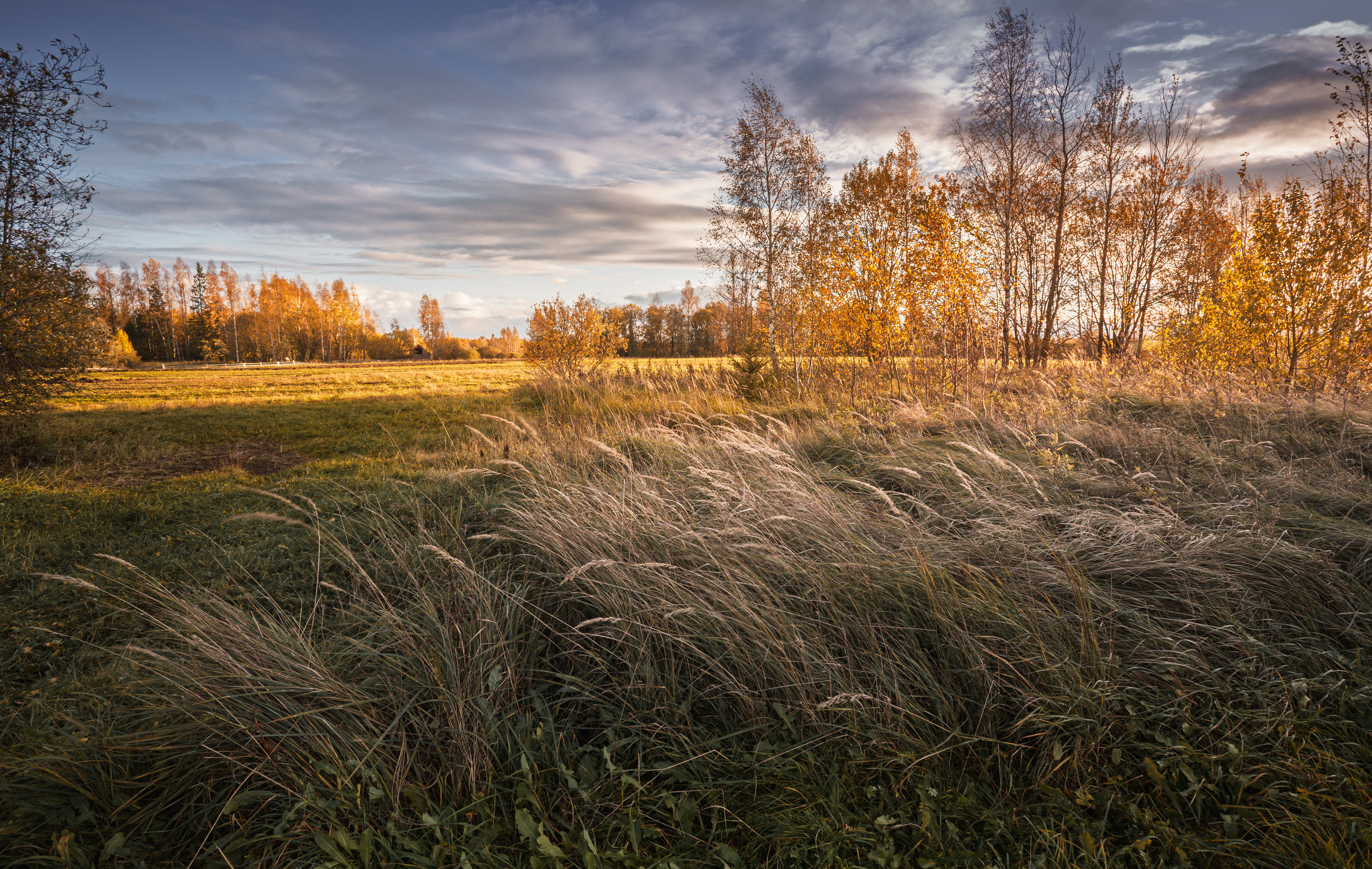 Соленская обл., Зеленько Дмитрий