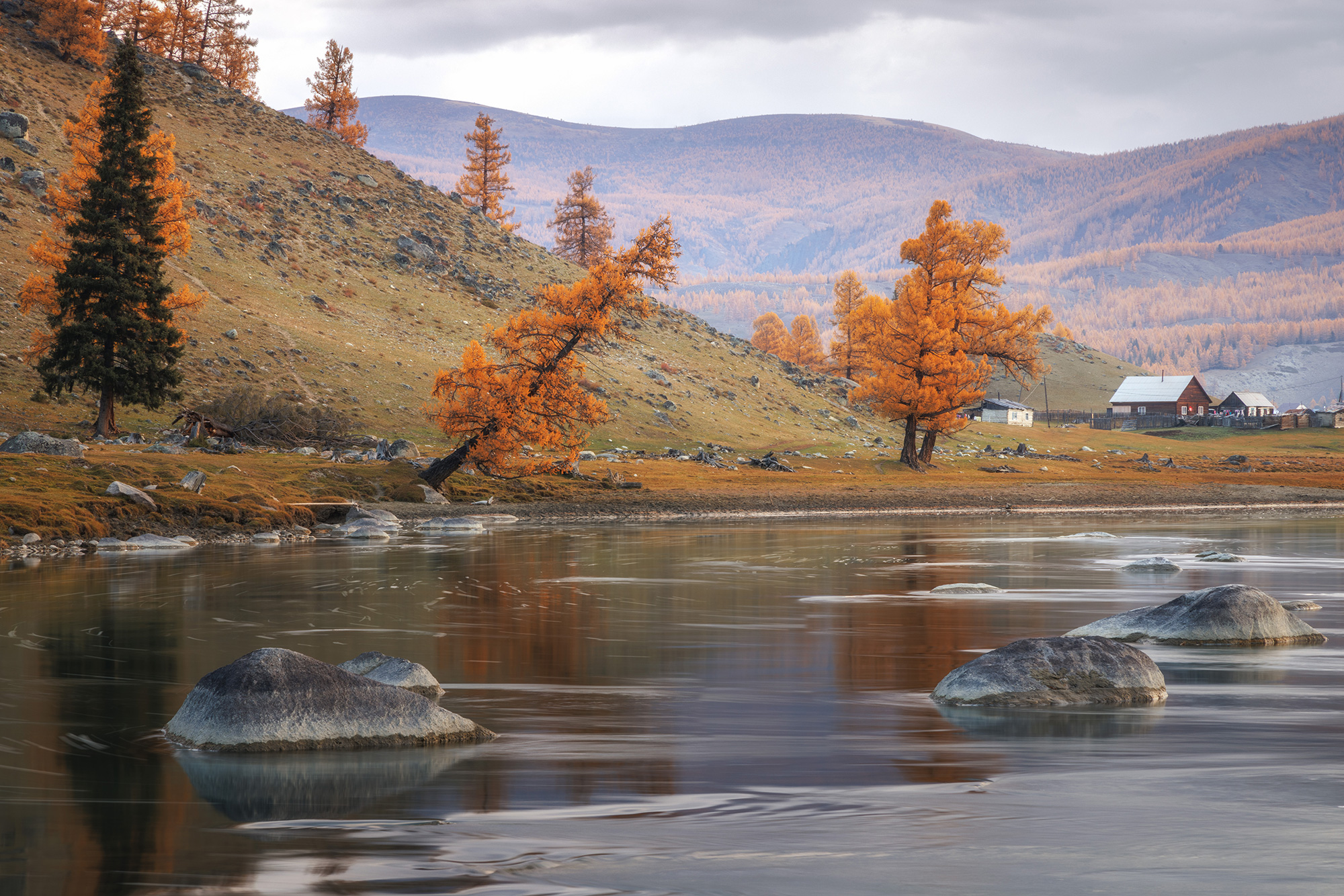 алтай, горный алтай, беляши, осень, лиственница, аргут, Морозов Сергей