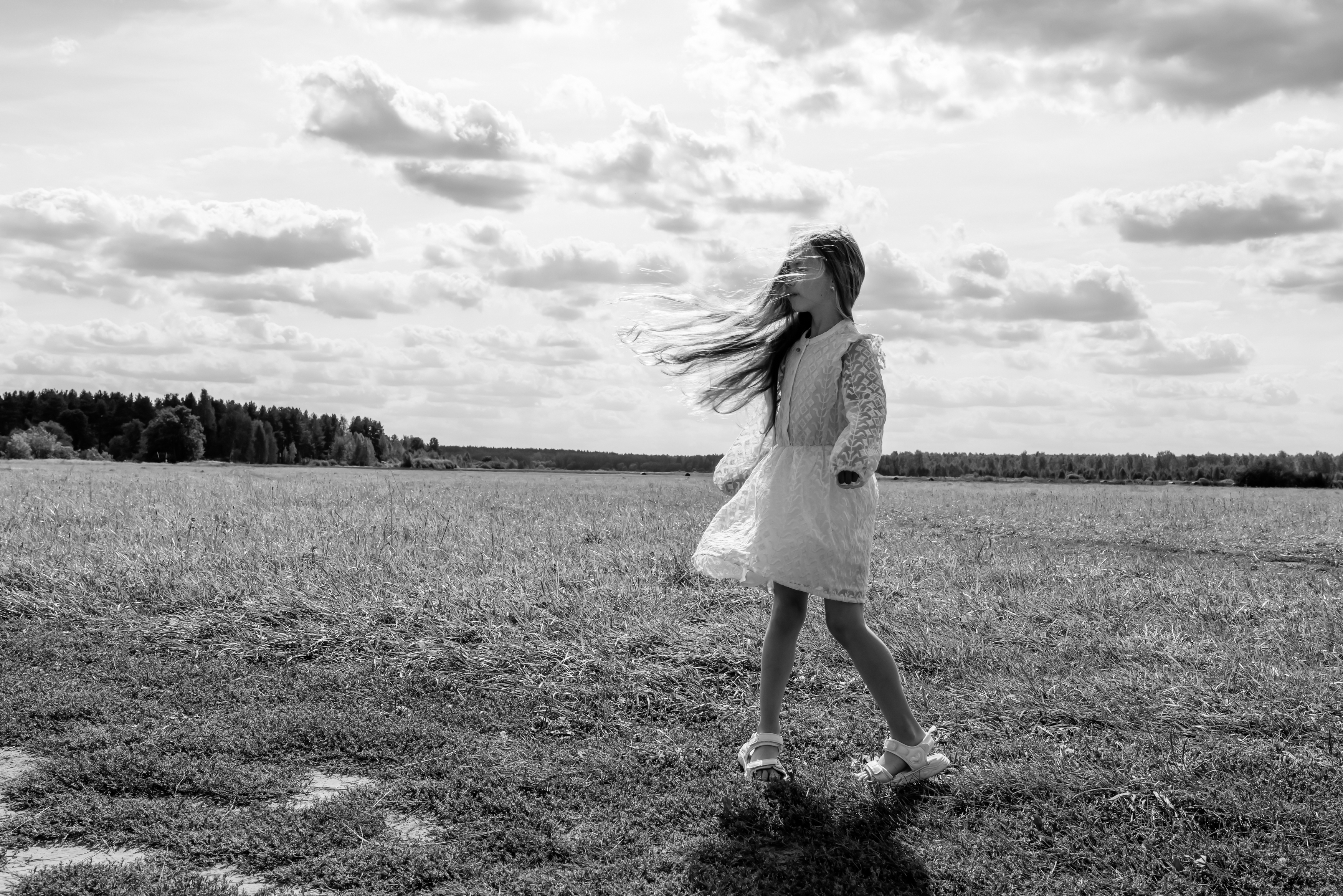 , Александр Шилов