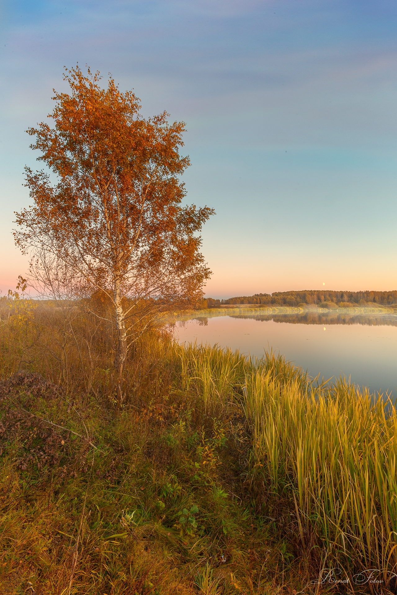 , Фотов Ренат