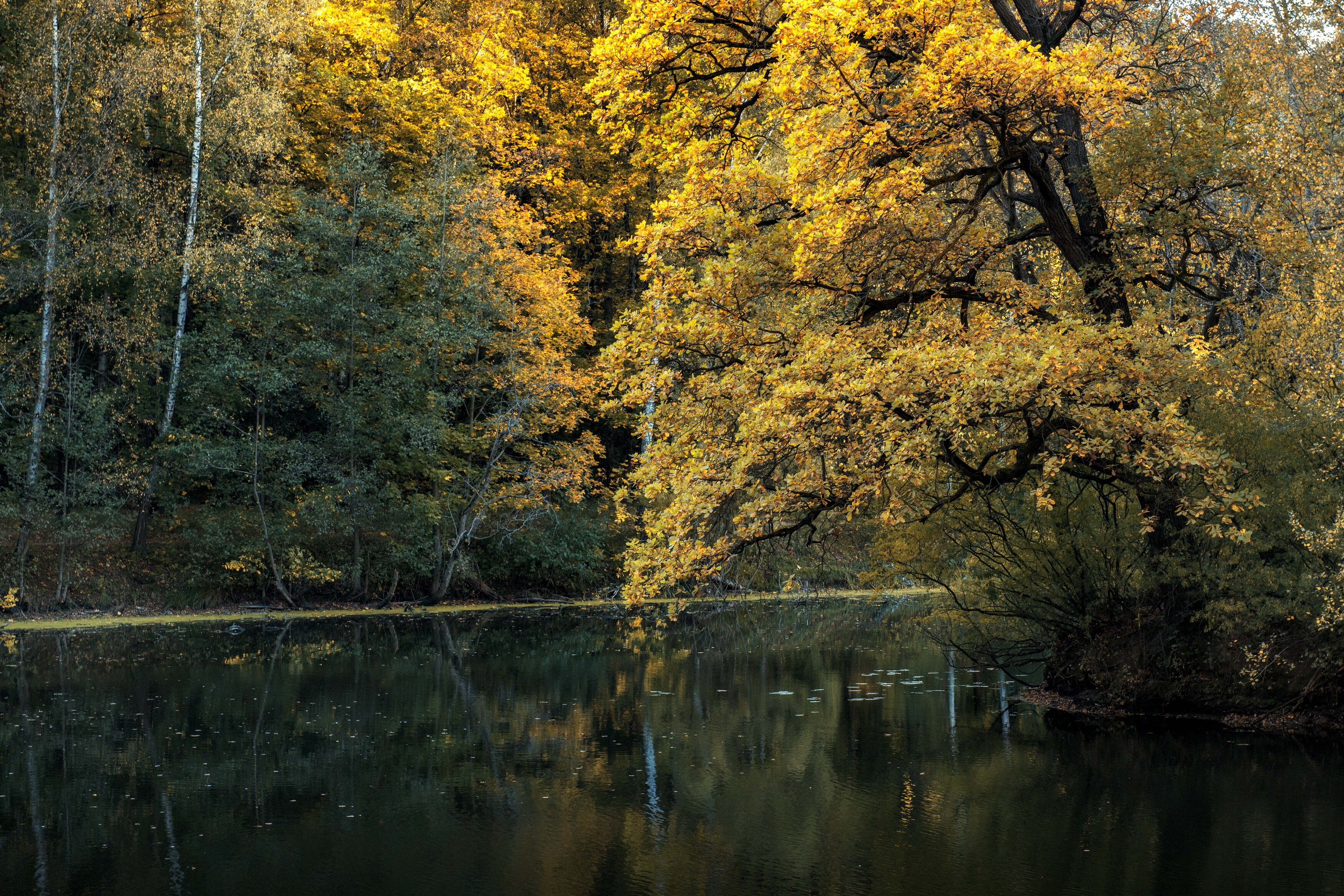 , Павел Ныриков