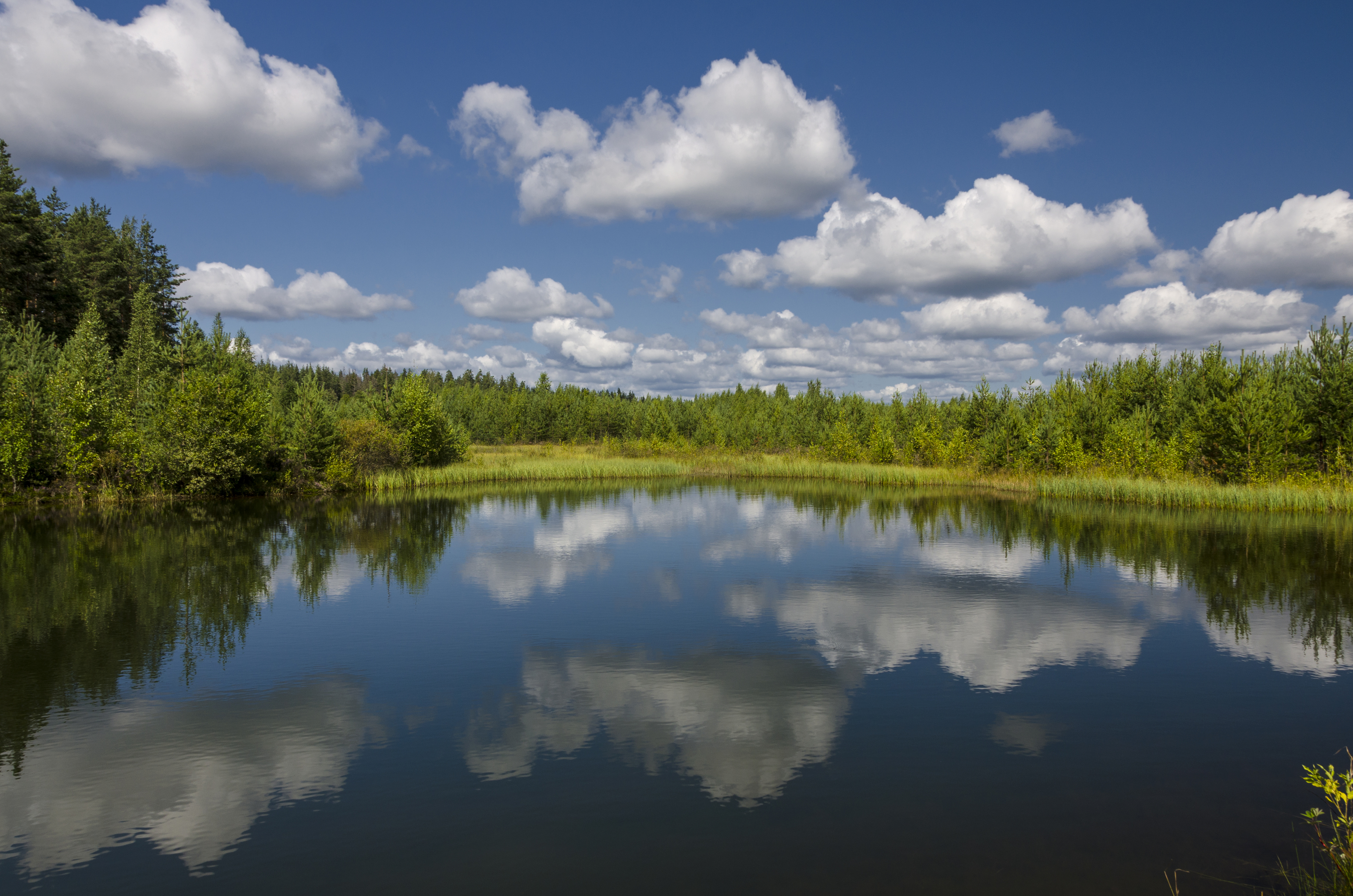 , Алексей Алешин