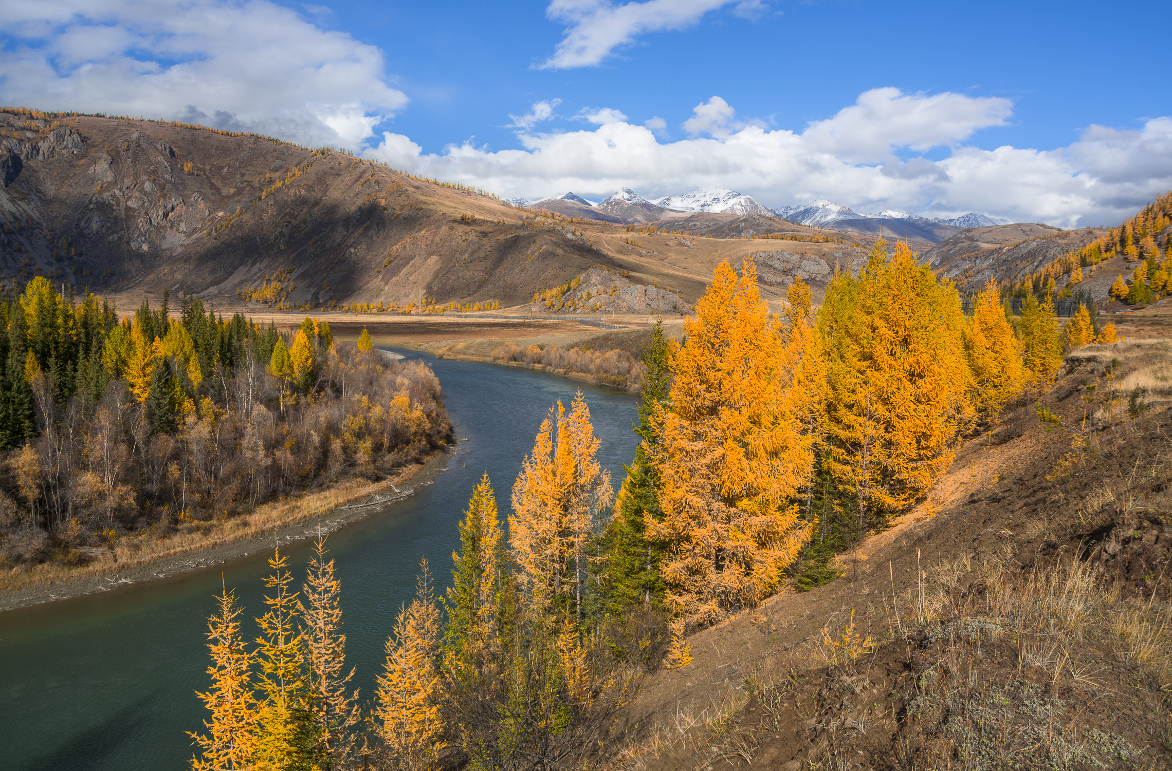 россия, горный алтай, река , осень, Андрей Поляков