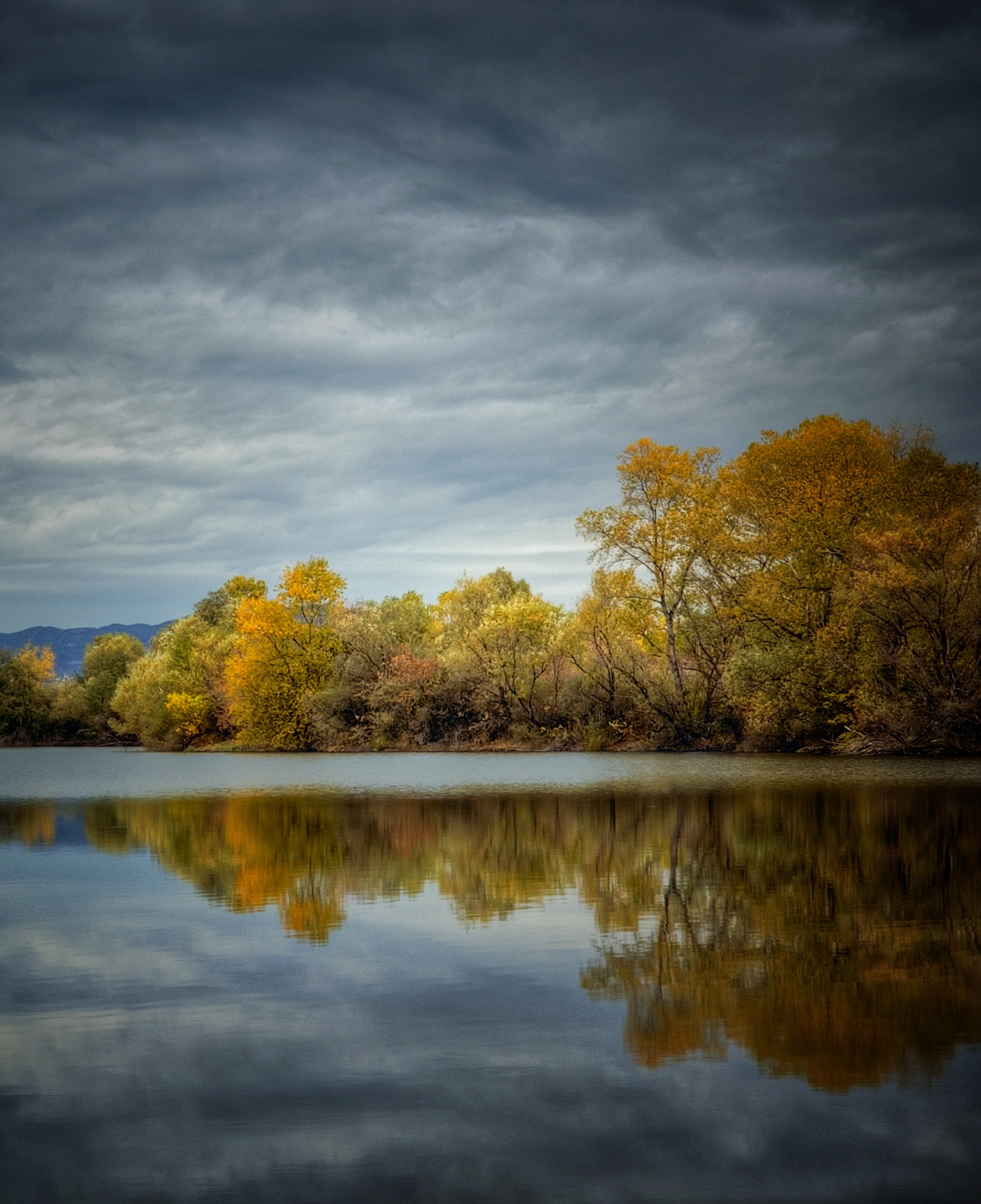 , Герчев Николай