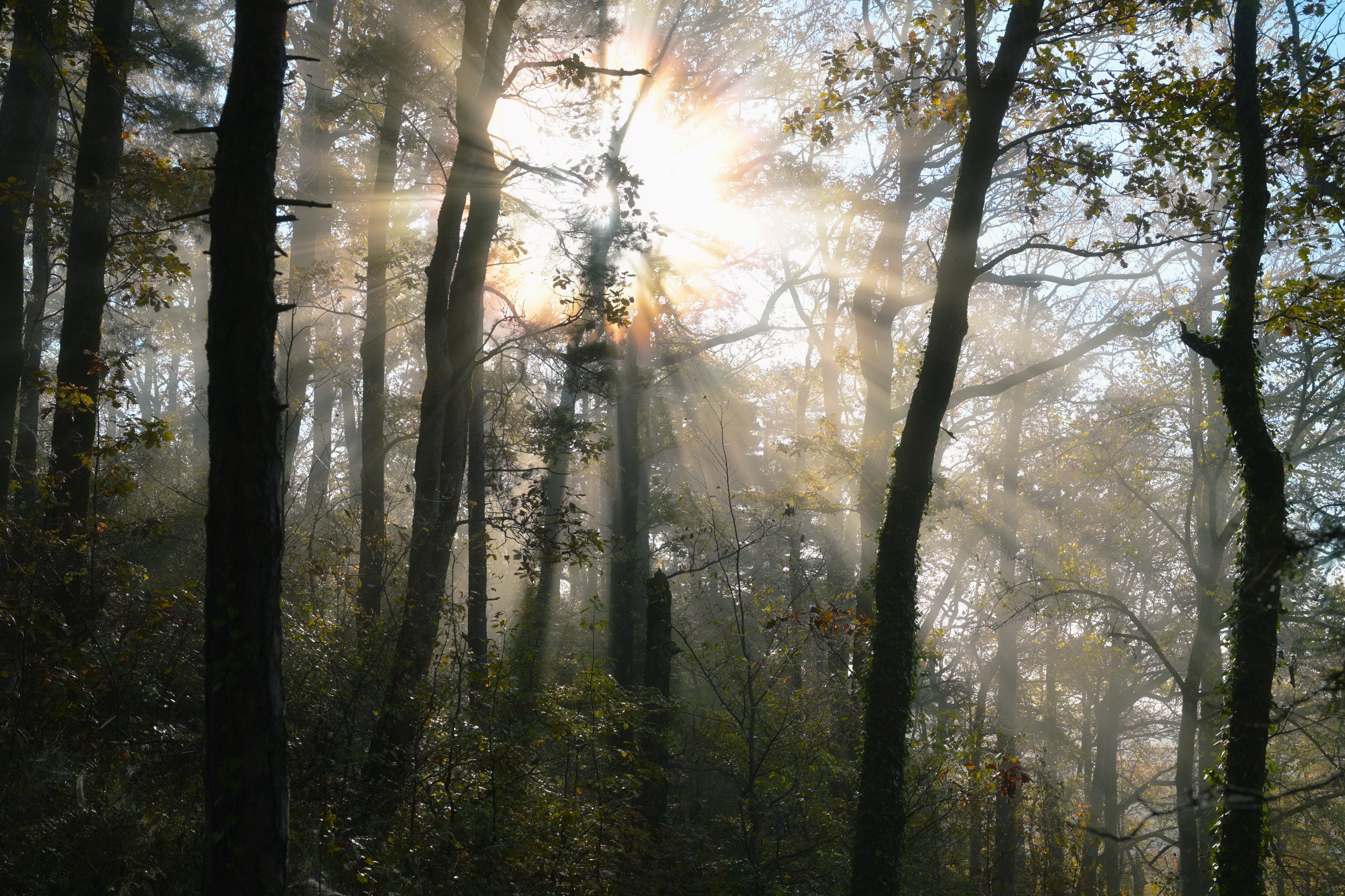 , Сергей Тихомиров