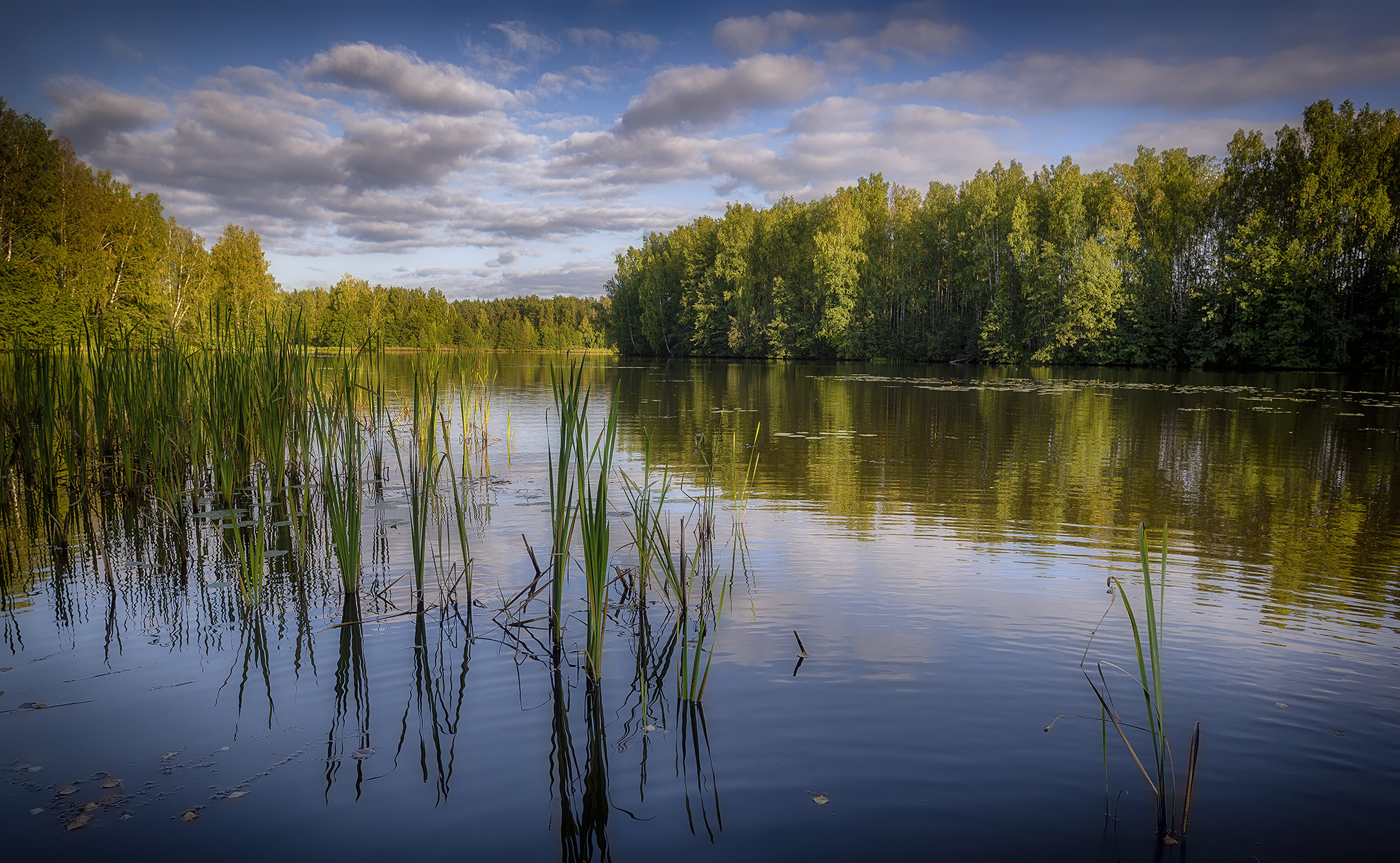 , Сергей Аникин