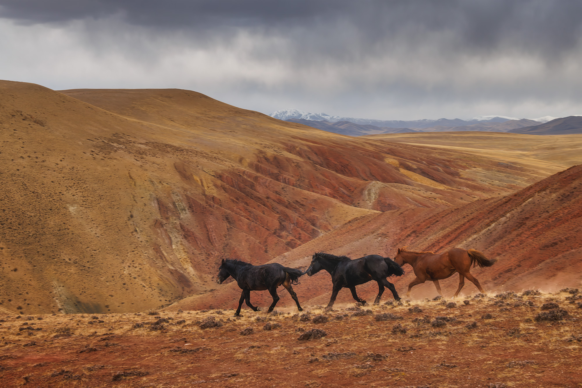 , Морозов Сергей