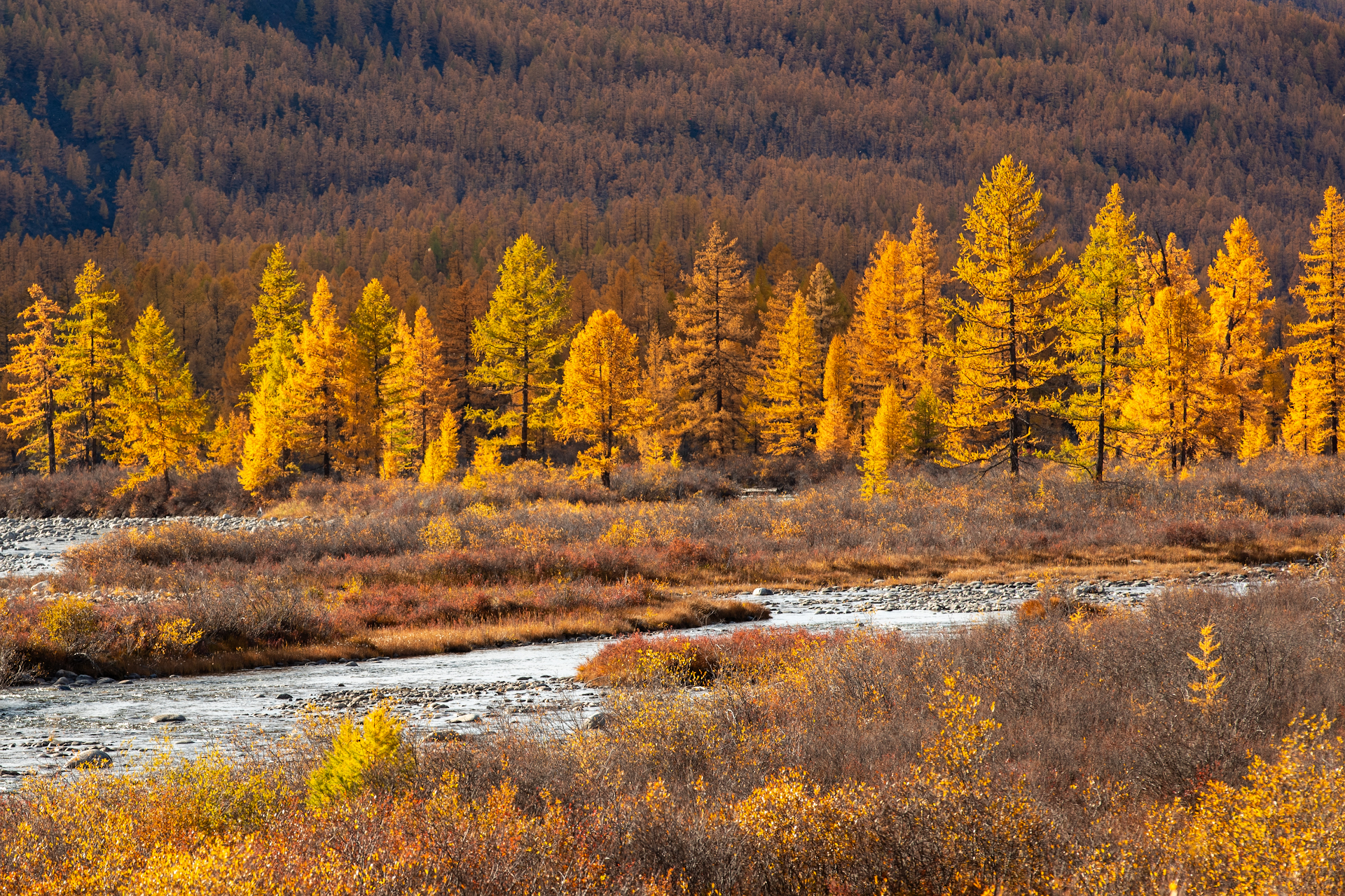 , Буянов Илья