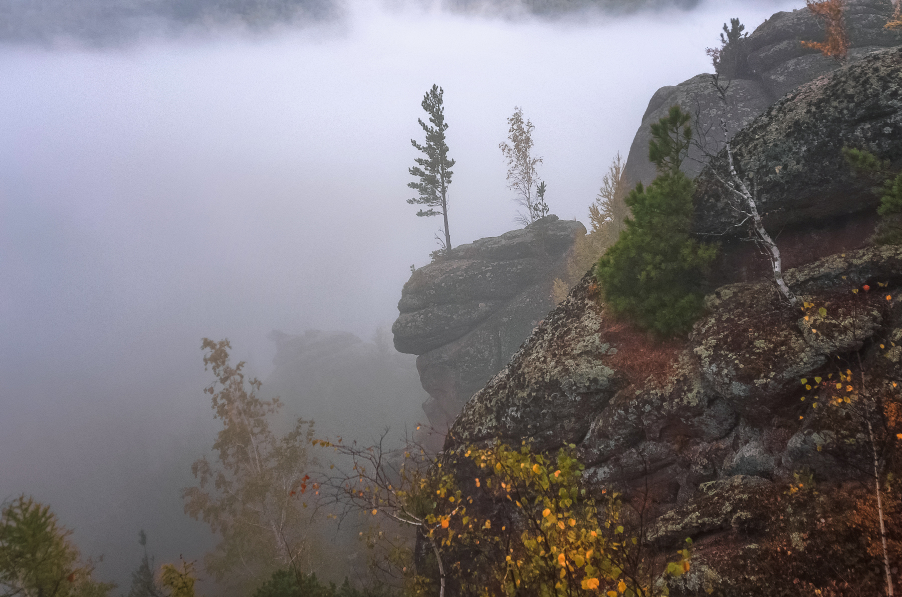 скала, туман, осень, столбы, воробушки, пара, деревья, Марина Фомина