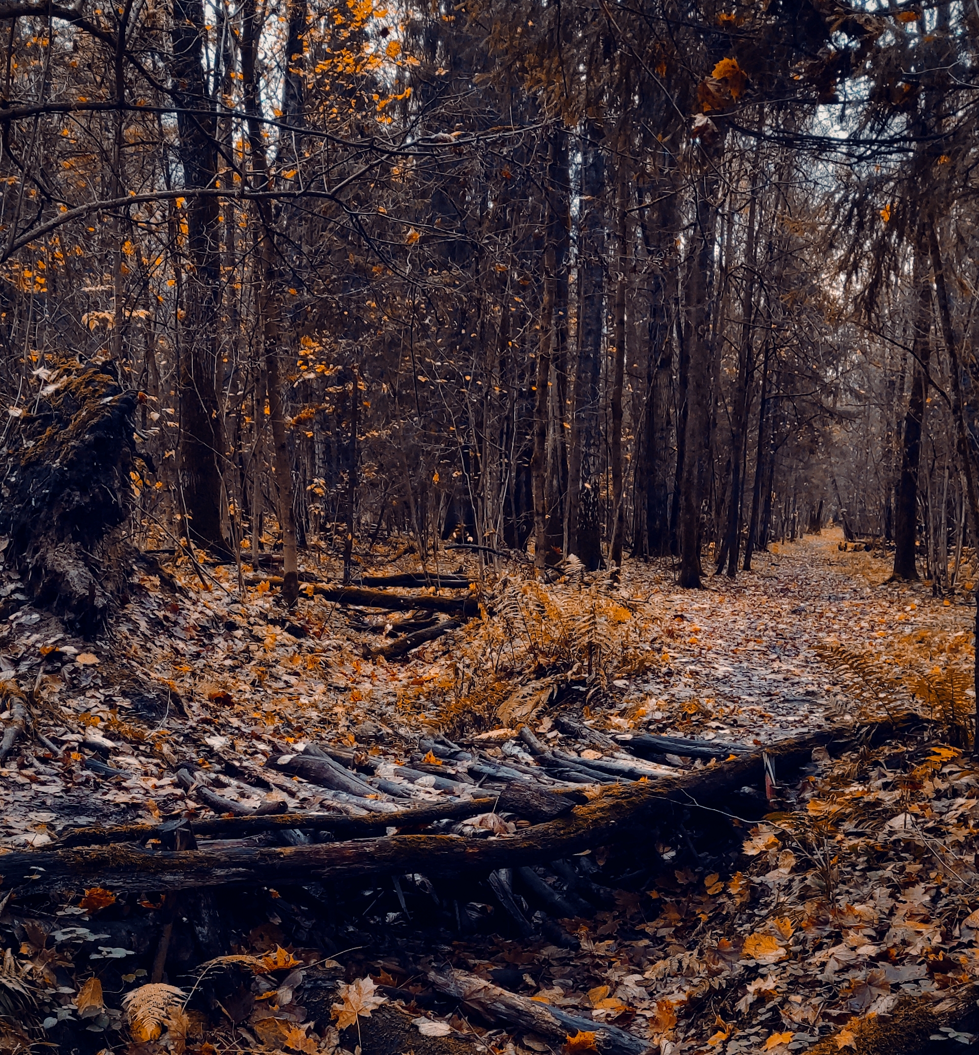 , Фото Александр