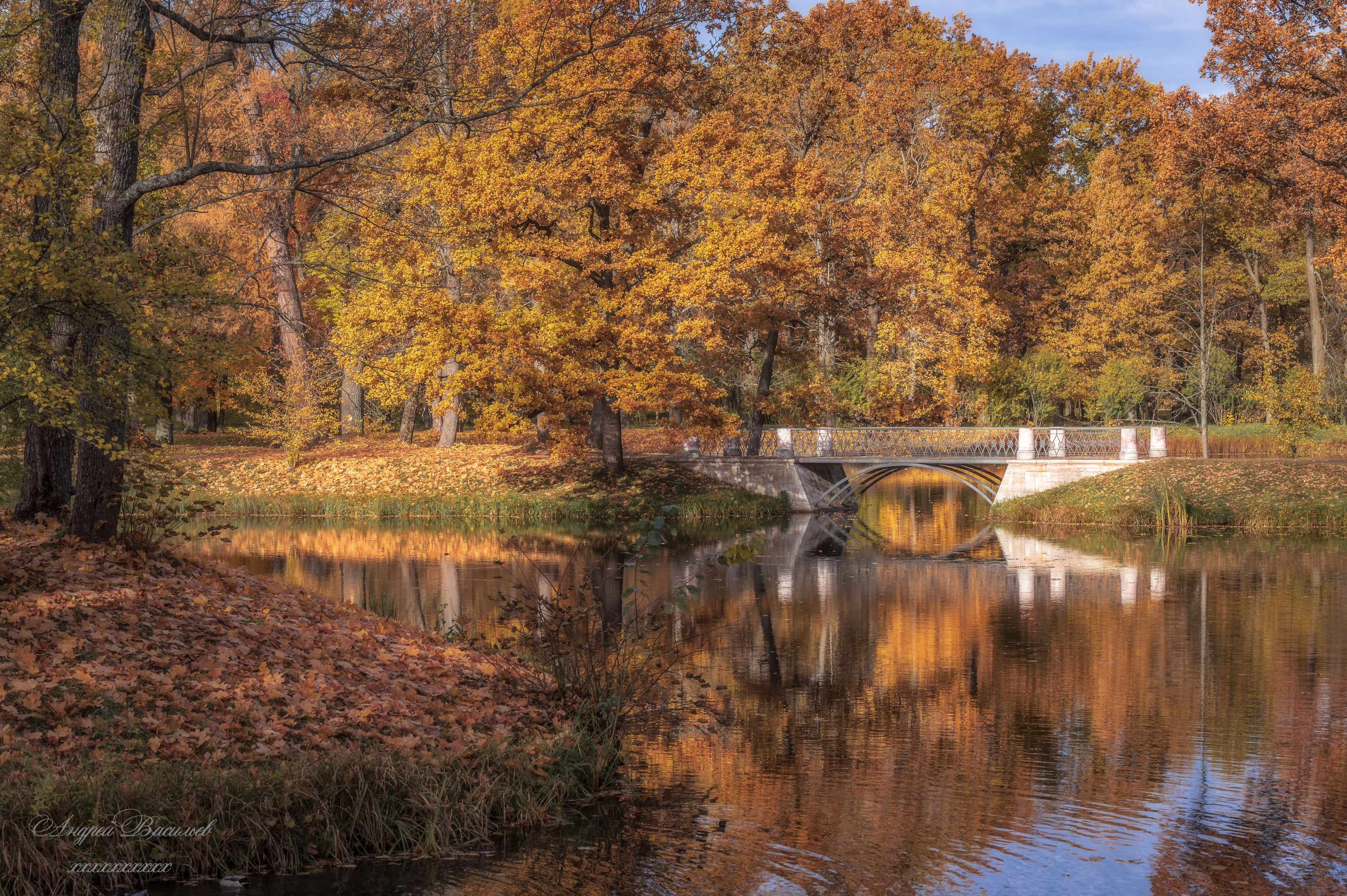 осень, осенний пейзаж, парки, мосты, Васильев Андрей