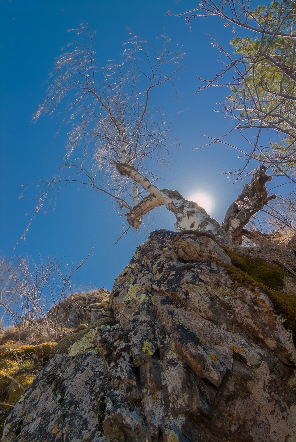 , Шустиков Дмитрий