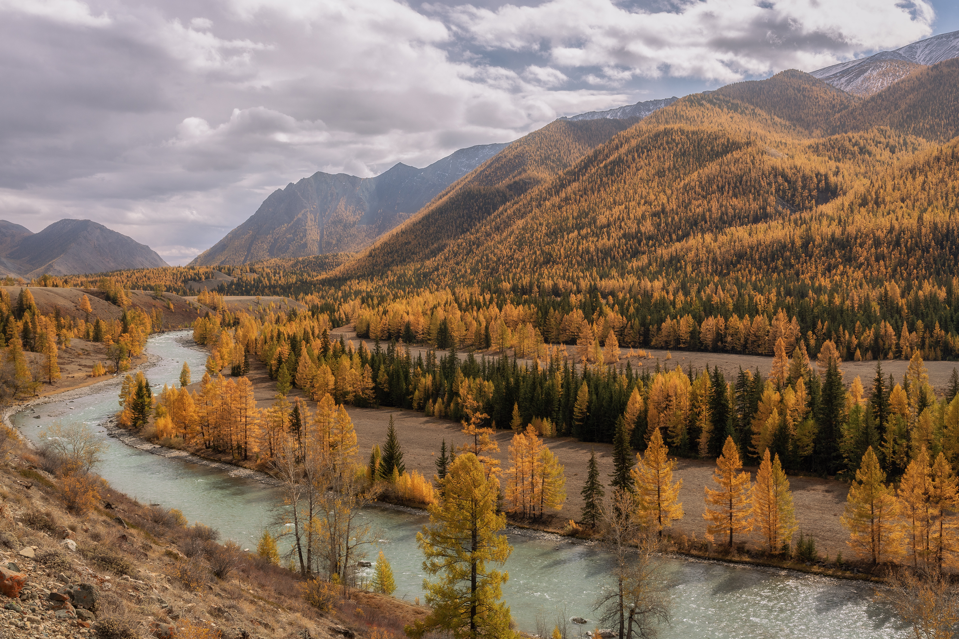 Алтай, Гусева Елена