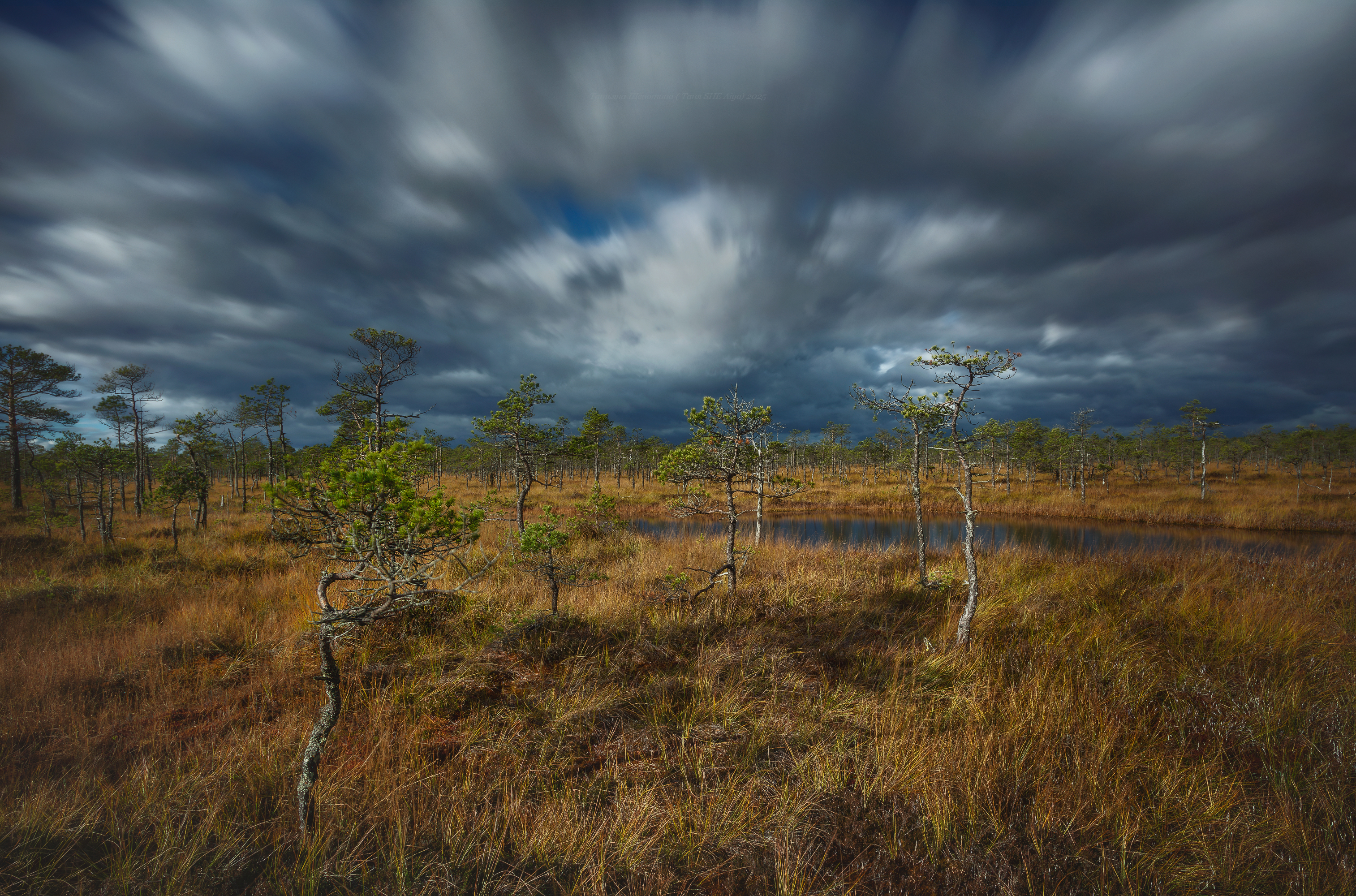 ленобласть, мухинское болото, пейзаж, рассвет, landscape, nature, природа, foggy, болото, выборгский район, ленинградская область, Щепотина Татьяна