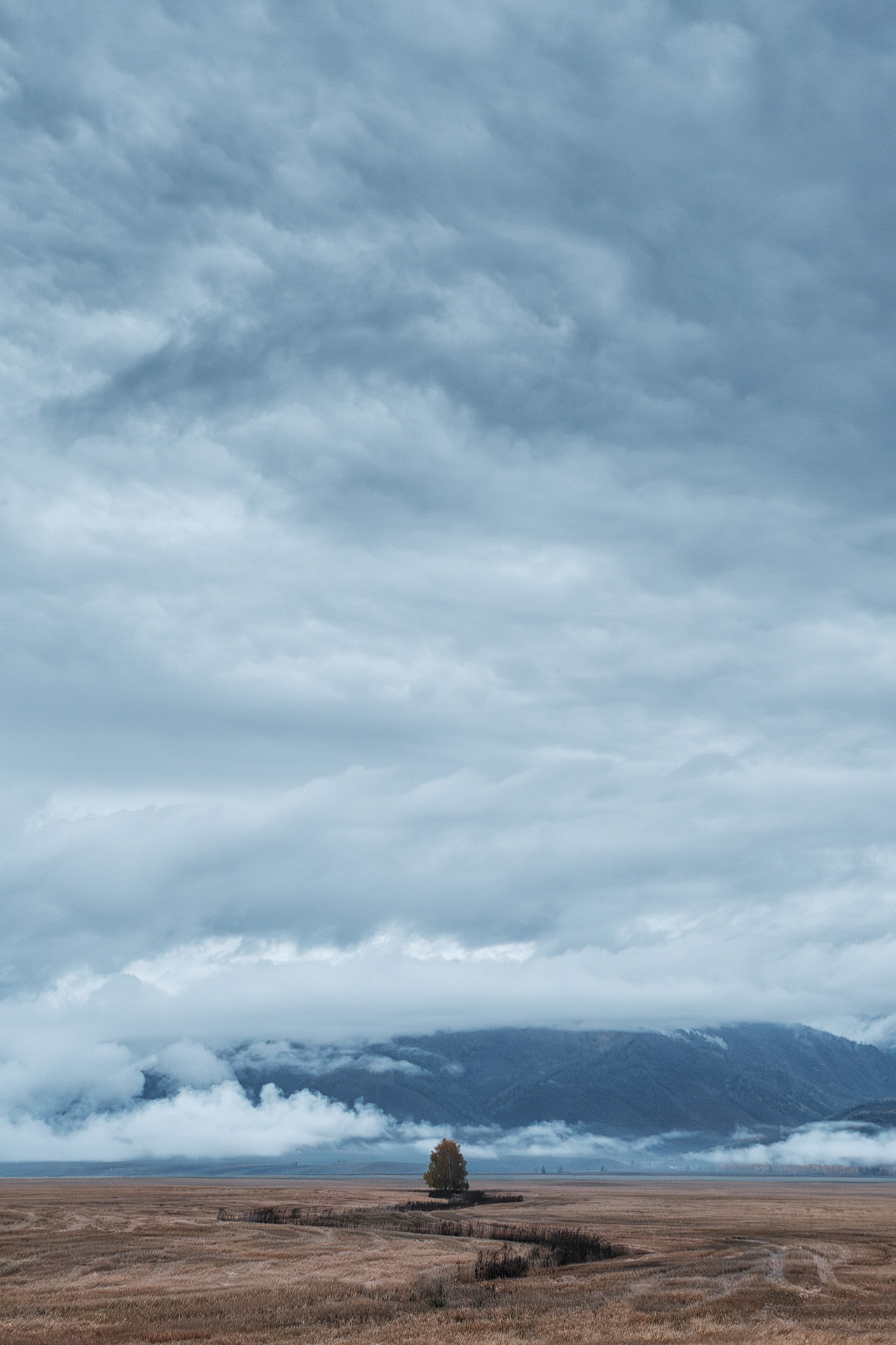 , Бодрягин Виталий