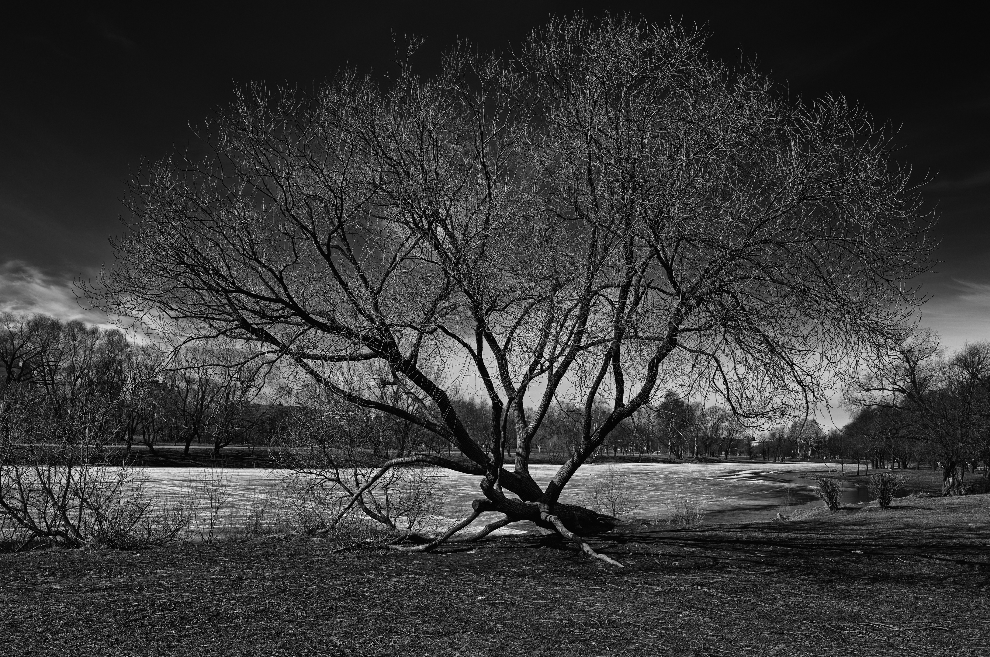 , Тихонов Дмитрий