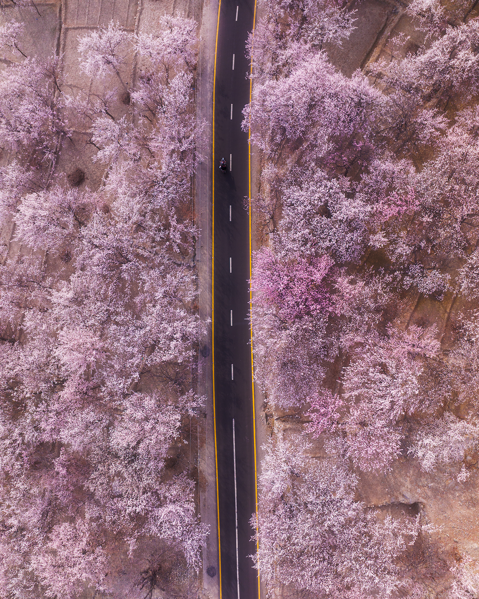 , Даниил Коржонов