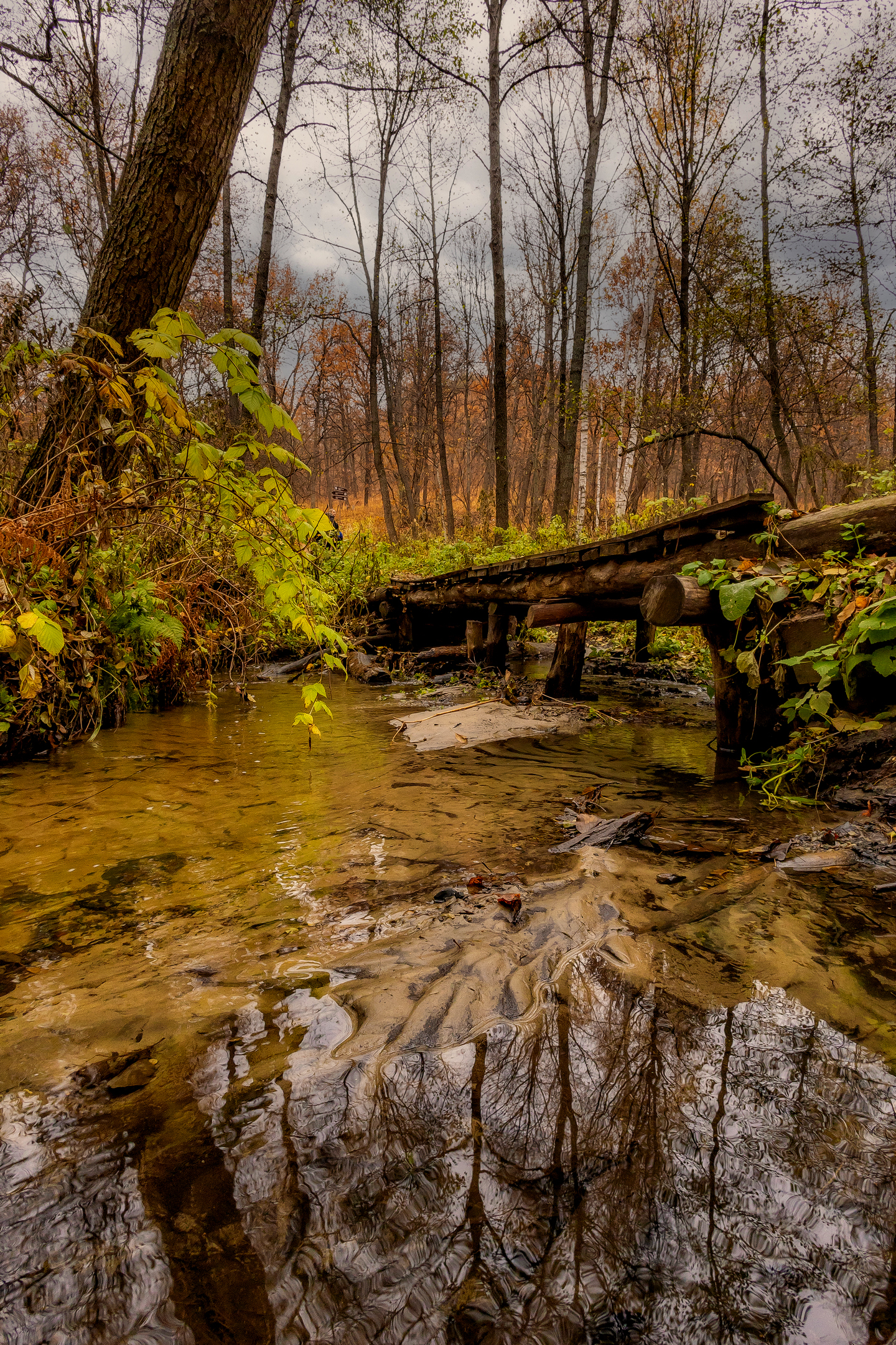 село лох, саратовская область, природа, ручей, осень, природа, вода, отражение, Подосинников Максим