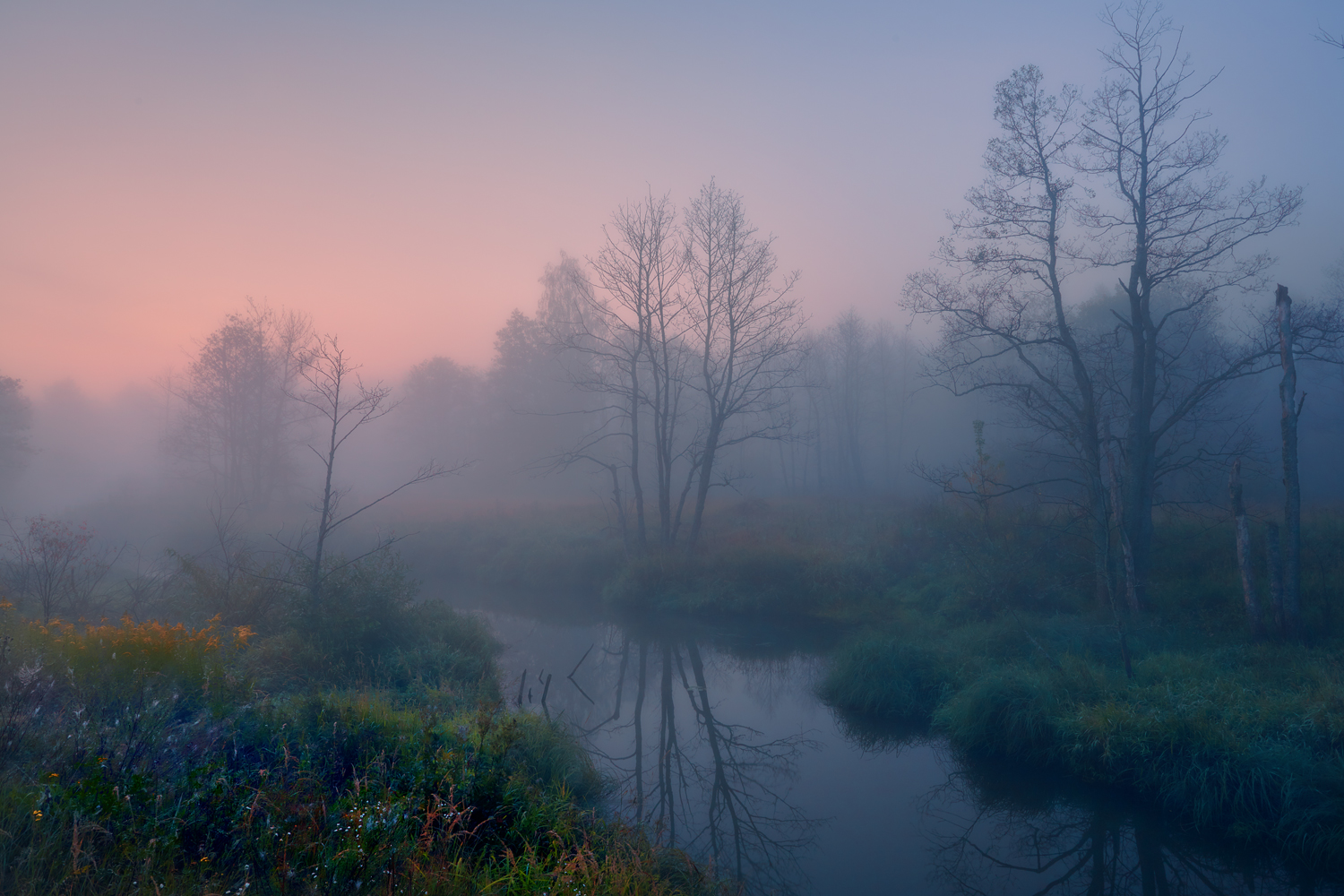 , Роман Лушпа